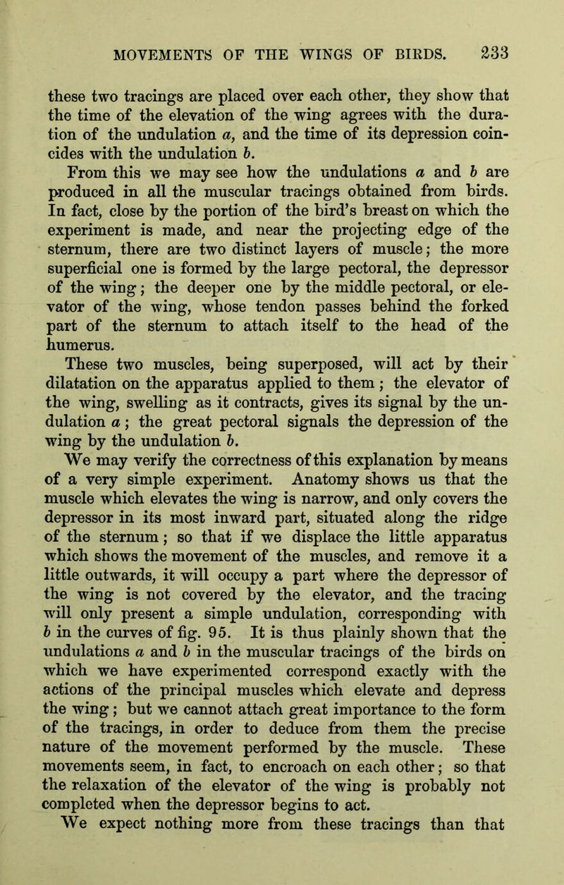 these two tracings are placed over each other, they show that the time of the elevation of the wing agrees with the dura- tion of the undulation a, and the time of its depression coin- cides with the undulation b. From this we may see how the undulations a and b are produced in all the muscular tracings obtained from birds. In fact, close by the portion of the bird’s breast on which the experiment is made, and near the projecting edge of the sternum, there are two distinct layers of muscle; the more superficial one is formed by the large pectoral, the depressor of the wing; the deeper one by the middle pectoral, or ele- vator of the wing, whose tendon passes behind the forked part of the sternum to attach itself to the head of the humerus. These two muscles, being superposed, will act by their dilatation on the apparatus applied to them ; the elevator of the wing, swelling as it contracts, gives its signal by the un- dulation a; the great pectoral signals the depression of the wing by the undulation b. We may verify the correctness of this explanation by means of a very simple experiment. Anatomy shows us that the muscle which elevates the wing is narrow, and only covers the depressor in its most inward part, situated along the ridge of the sternum; so that if we displace the little apparatus which shows the movement of the muscles, and remove it a little outwards, it will occupy a part where the depressor of the wing is not covered by the elevator, and the tracing will only present a simple undulation, corresponding with b in the curves of fig. 95. It is thus plainly shown that the undulations a and b in the muscular tracings of the birds on which we have experimented correspond exactly with the actions of the principal muscles which elevate and depress the wing; but we cannot attach great importance to the form of the tracings, in order to deduce from them the precise nature of the movement performed by the muscle. These movements seem, in fact, to encroach on each other; so that the relaxation of the elevator of the wing is probably not completed when the depressor begins to act. We expect nothing more from these tracings than that