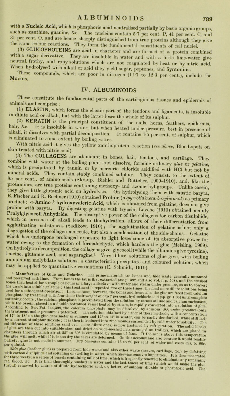 with a Nucleic Acid, which is phosphoric acid neutralised partially by basic orgaiiic groups, sudi as xanthine, guanine, &c. The nucleins contain 5-7 per cent. P, 41 per cent. C, and 31 per cent, O, and are hence sharply distinguished troni trae proteina although they give thè sanie coloni- reactions. They forni thè fundamental constituents of celi nuclei. (3) GLUCOPROTEINS are acid in character and are formed of a protein combined a sugar derivative. They are insoluble in water and with a little lime-water give neutral frothy, and ropy Solutions which are not coagulated by heat or by nitric acid. \\ hen hydrolysed with al bali or acid they yield sugar, peptones, and Syntonins. These compound», which are poor in nitrogen (11-7 to 12-3 per cent.), include thè Mucins. IV. ALBUMINOIDS These constitute thè fundamental parts of thè cartilaginous tissues and epidermis of ani mais and comprise : (] ) ELASTIN, which forms thè elastic part of thè tendons and ligaments, is insoluble in dilute acid or alkali, but with thè latter loses thè wliole of its sulphur. (2) KERATIN is thè principal constituent of thè nails, horns, feathers, epidermis, am, &c. It is insoluble in water, but wlien lieated under pressure, best in presence of alkali, it dissolves with partial decomposition. It contains 4-5 per cent, of sulphur, which is ehminated to some extent by boiling water. With nitric acid it gives thè yellow xanthoprotein reaction (see above, Blood-spots on skin treated with nitric acid). (3) The COLLAGENS are abundant in bones, liair, tendons, and cartilage. They combine with water at thè boiling-point and dissolve, forming ordinary glue or gelatine, which is precipitated by tannili or by mercurio chloride acidified with HC1 but not by minerai acids. They contain stably combined sulphur. They consist, to thè extent of So per cent., of amino-acids (Skraup, Biehler and Bottcher, 1909-1910), and, like thè protamines, are trae proteins containing methoxy- and azomethyl-groups. Unlike casein, t ìey give httle glutamic acid on hydrolysis. On hydrolysing them with caustic baryta, B. r ischer and R. Boehner (1910) obtained Proline (a-pijrrolidinecarboxylic acid) as primary product ; «-Amino-c-hydroxyvaleric Acid, which is obtained from gelatine, does not give proime with baryta. By digesting gelatine with trypsin, Levene (1910) obtained mainly Prolylglycocoll Anhydride. The absorptive power of thè collagens for carbon disulphide, which in presence of alkali leads to thiohydration, allows of their differentiation from agglutinatmg substances (Sadikow, 1910); thè agglutination of gelatine is not only a ìsgregation of thè collagen molecule, but also a condensation of thè side-chains. Gelatine which has undergone prolonged exposure to light loses’some of its absorptive power for water owing to thè formation of formaldehyde, which hardens thè glue (Meisling 1909) On hydrolytic decomposition, thè collagens give glycocoll (while thè albumins give tyrosine)’ eucine, glutamic acid, and asparagine.1 Very dilute Solutions of glue give, with boiling ammonii!m molybdate Solutions, a characteristic precipitate and colourecl solution, which may be apphed to quantitative estimations (E. Schmidt, 1910). . Manuf^ctur® of Glu® and Gelatine. The prime materials are bones and bidè waste, generally untanned hnlP tTr'hd r^Vime- Flì0m b°nes the fat is first extracted (*«« P- 392 and also voi. i, p. 508), and thè crushed bones then heated for a couple of bours in a large autoclave with water and steam under pressure, so as to convert usedTr a ™h° “? 5 thTÌS treatment is rePeated or three times, the final more dilute Solutions beTng used for a subsequent operation. In some cases, however, the bones and hence also thè glue are freed from caldura phosphate by treatment with four times their weight of 6 to 7 per cent, hydrochloric acid (sp. gr. 1-05) until complete whnTl'h8 °CCUrS ; V16 calcium Phosphate is precipitated from the solution by means of lime and caldura carbonate bile thè ossein, plaeed in a double-bottomed vessel heated by steam, is rapidly converted into a solution of glue’ thè GCir' Pat' 144,398! tbe calciura Phosphate may be dissolved by aqueous SO., under pressure (only thè treatment under Pressure is patcnted). The solution obtained by either of these methods, with a concentration of 17 to 18 on thè glue-densimeter in summer and 12° to 14° in winter, can be partly decolorised while stili hot bjJa cflurr.ent of salPhur dioxide ; it is then mtroduced into zinc moulds surrounded by coki water to solidify. The solidiflcation of these Solutions (and even more dilute ones) is now hastened by refrigeration. The solid blocks of glue are then cut into suitable sizes and dried on wide-meshed nets arranged on trolleys, which are plaeed in chambers through which air at 25° to 30° is circulated by means of fans. If the air is abóve this temperatre thè glue will melt, while if it is too dry the cakes are deformed. On this account and also because it wouTd readdv perqdntfr   “ SUmmer’ ^ bone~«lue contains 15 to 20 P^ cent, of water and costs 52* to68, Skin-glue (leatlier glue) is prepared from hide-waste and also other waste (nerves, cartilage, &c ) by defattin- with carbon disulphide and softemng or swelling in water, which likewise removes impurities. It is then macera ed ,Z ÌZX'f? m,f “T ,rse S f?nU,“l*mi,k » frequenti, renewed to eliminato àny ““ fat blo°d, de. It is then thoroughly washed in water and the last tracea of lime (which would make the è uè turbid) removed by meana of dilato hydrochloric acid, or, better, of nulphur dioyide or phosphoric acid The