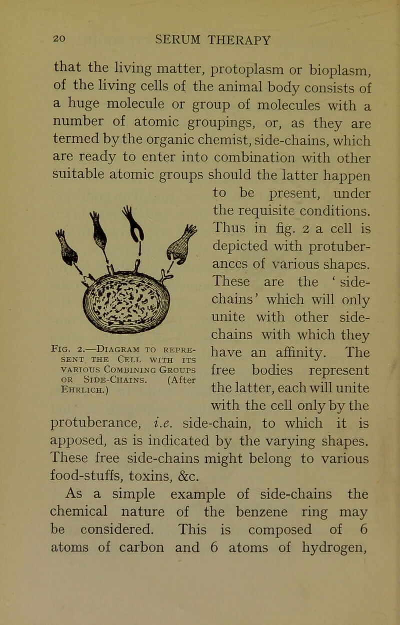 that the living matter, protoplasm or bioplasm, of the living cells of the animal body consists of a huge molecule or group of molecules with a number of atomic groupings, or, as they are termed by the organic chemist, side-chains, which are ready to enter into combination with other suitable atomic groups should the latter happen to be present, under the requisite conditions. Thus in fig. 2 a cell is depicted with protuber- ances of various shapes. These are the ‘ side- chains ’ which will only unite with other side- chains with which they have an affinity. The free bodies represent the latter, each will unite with the cell only by the protuberance, i.e. side-chain, to which it is apposed, as is indicated by the varying shapes. These free side-chains might belong to various food-stuffs, toxins, &c. As a simple example of side-chains the chemical nature of the benzene ring may be considered. This is composed of 6 atoms of carbon and 6 atoms of hydrogen. Fig. 2.—Diagram to repre- sent THE Cell with its VARIOUS Combining Groups OR Side-Chains. (After Ehrlich.)