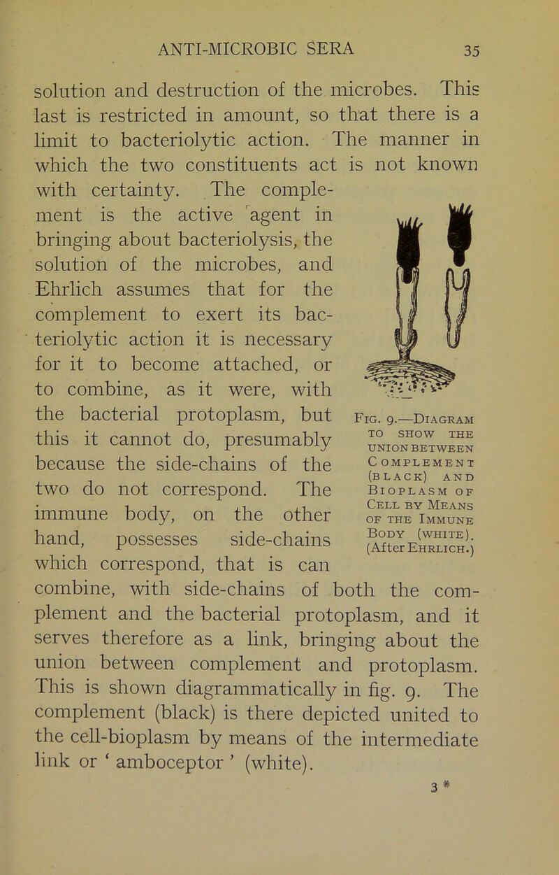 solution and destruction of the microbes. This last is restricted in amount, so that there is a limit to bacteriolytic action. The manner in which the two constituents act is not known with certainty. The comple- ment is the active ^agent in bringing about bacteriolysis, the solution of the microbes, and Ehrlich assumes that for the complement to exert its bac- teriolytic action it is necessary for it to become attached, or to combine, as it were, with the bacterial protoplasm, but this it cannot do, presumably because the side-chains of the two do not correspond. The immune body, on the other hand, possesses side-chains which correspond, that is can combine, with side-chains of both the com- plement and the bacterial protoplasm, and it serves therefore as a link, bringing about the union between complement and protoplasm. This is shown diagrammatically in fig. 9. The complement (black) is there depicted united to the cell-bioplasm by means of the intermediate link or ‘ amboceptor ’ (white). # Fig. 9.—Diagram TO SHOW THE UNION BETWEEN C OMPLEMENT (black) and Bioplasm of Cell by Means OF THE Immune Body (white). (After Ehrlich.) 3