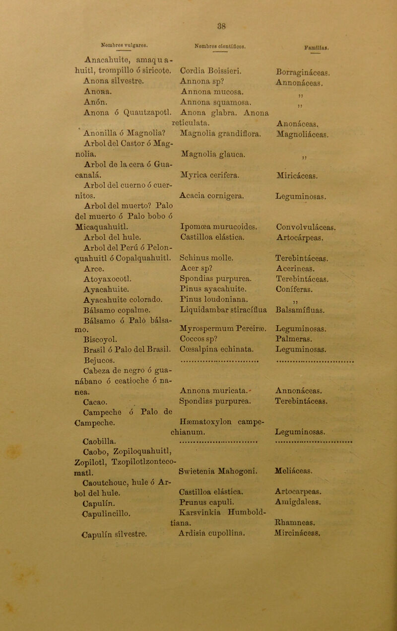 Kombres vulgares. Nombres oIontlQcos. Familias. Anacahuite, amaq u a - huitl, trompillo ó siricote. Cordia Boissieri. Borraginácea,®. Anona silvestre. Annona sp? Annonáceas. Anona. Annona mucosa. Anón. Annona squamosa. J) Anona ó Quaiitzapotl. Anona glabra. Anona reticulata. Anonáceas. Anonilla ó Magnolia? Magnolia grandiflora. Magnoliáceas. Arbol del Castor ó Mag- nolia. Magnolia glauca. J) Arbol de la cera ó Gua- canalá. Myrica cerífera. Miricáceas. Arbol del cuerno ó cuer- nitos. Acacia cornigera. Leguminosas. Arbol del muerto? Palo del muerto ó Palo bobo ó Micaquabuitl. Ipomcea murucoides. Convolvuláceas. Arbol del bule. Arbol del Perú ó Pelón- Castilloa elástica. Artocárpeas. quabuitl ó Copalquabuitl. Schinus molle. Terebintáceas. Arce. Acer sp? Acerineas. Atoyaxocotl. Spondias purpurea. Terebintáceas. Ayacahuite. Pinus ayacahuite. Coniferas. Ayacahuite colorado. Pinus loudoniana. Bálsamo copalme. Bálsamo ó Palo bálsa- Liquidambar stiracíflua Balsamífluas. mo. Myrospermum Pereirae. Leguminosas. Biscoyol. Coceos sp? Palmeras. Brasil ó Palo del Brasil. Bejucos. Coesalpina echinata. Leguminosas. Cabeza de negro ó gua- nábano ó ceatioche ó na- nea. Annona muricata.' Annonáceas. Cacao. Spondias purpurea. Terebintáceas. Campeche ó Palo de Campeche. Hasmatoxylon campe- cbianum. Leguminosas. Caobilla. Swietenia Mahogoni. Mcliáceas. Caobo, Zopiloquabuitl, Zopilotl, Tzopilotlzonteco- matl. Caoutchouc, hule ó Ar- bol del hule. Castilloa elástica. Artocarpeas. Capulín. Prunus capuli. Amigdaleas. Capulincillo, Karsvinkia Humbold- tiana. Khamneas. Capulín silvestre. Ardisia cupollina. Mircináceas.