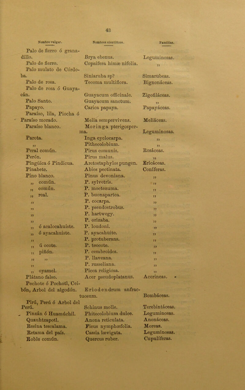 Nombro vulgar. Nombres olentíñoos. Familias. Palo de fierro ó grana- dillo. Prya ebenus. Leguminosas. Palo de fierro. Copaifera himse nifolia. 77 Palo mulato de Gordo- ba. Siniaruba sp? Simarubeas. Palo de rosa. Tecoma multifiora. Bignonáceas. Palo de rosa ó Guaya- can. Guayacum oflEicinale. Zigofiláceas. Palo Santo. Guayacum sanctum. 77 Papayo. Carica papaya. Papayáceas. Paraíso, lila, Piocha ó Paraíso morado. Melia sempervivens. Meliáceas. Paraíso blanco. Moringa pterigosper- ma. Leguminosas. Parota. Inga cyclocarpa. 77 Pithecolobium. 77 Peral común. Pirus comunis. Rosáceas. Perón. Pirus malus. 77 Pingüica ó Pindicua. Arctostaphylos pungen. Ericáceas. Pinabete. Abies pectinata. Coniferas. Pino blanco. Pinus devoniana. 77 ,, común. P. sylvetris. ■ 77 „ común. P. moctezuma. 77 ,, real. P. buonapartea. 77 P. cocarpa. u n P. psendostrobus. 77 P. hartwegy. 77 jj P. orizaba. 77 ,, ó acalocahuiste. P. loudoni. )í ,, ó ayacahuiste. P. ayacahuite. 77 77 P. protuberans. 77 ,, ú ocote. P. teocote. 77 ,, piñón. P. cembroides. 77 7 7 7 7 P. llaveana. 77 77 P. russeliana. 77 ,, oyamel. Picea religiosa. 77 Plátano falso. Acer pseudoplatanus. Aceríneas. Pochote ó Pochotl, Cei- bón. Arbol del algodón. Eriodendrum anfrac- tuosum. Bombáceas. Pirú, Perú ó Arbol del Perú. Schinus molle. Terebintáceas. . Pinzán ó Huamúchil. Phitecolobium dulce. Leguminosas. Quauhtzapotl. Anona reticulata. Anonáceas. Kesina tescalama. Pieus nymphoefolia. Moreas. Eetama del país. Cassia Icevigata. Leguminosas. Roble común. Quercus ruber. Cupulíferas.