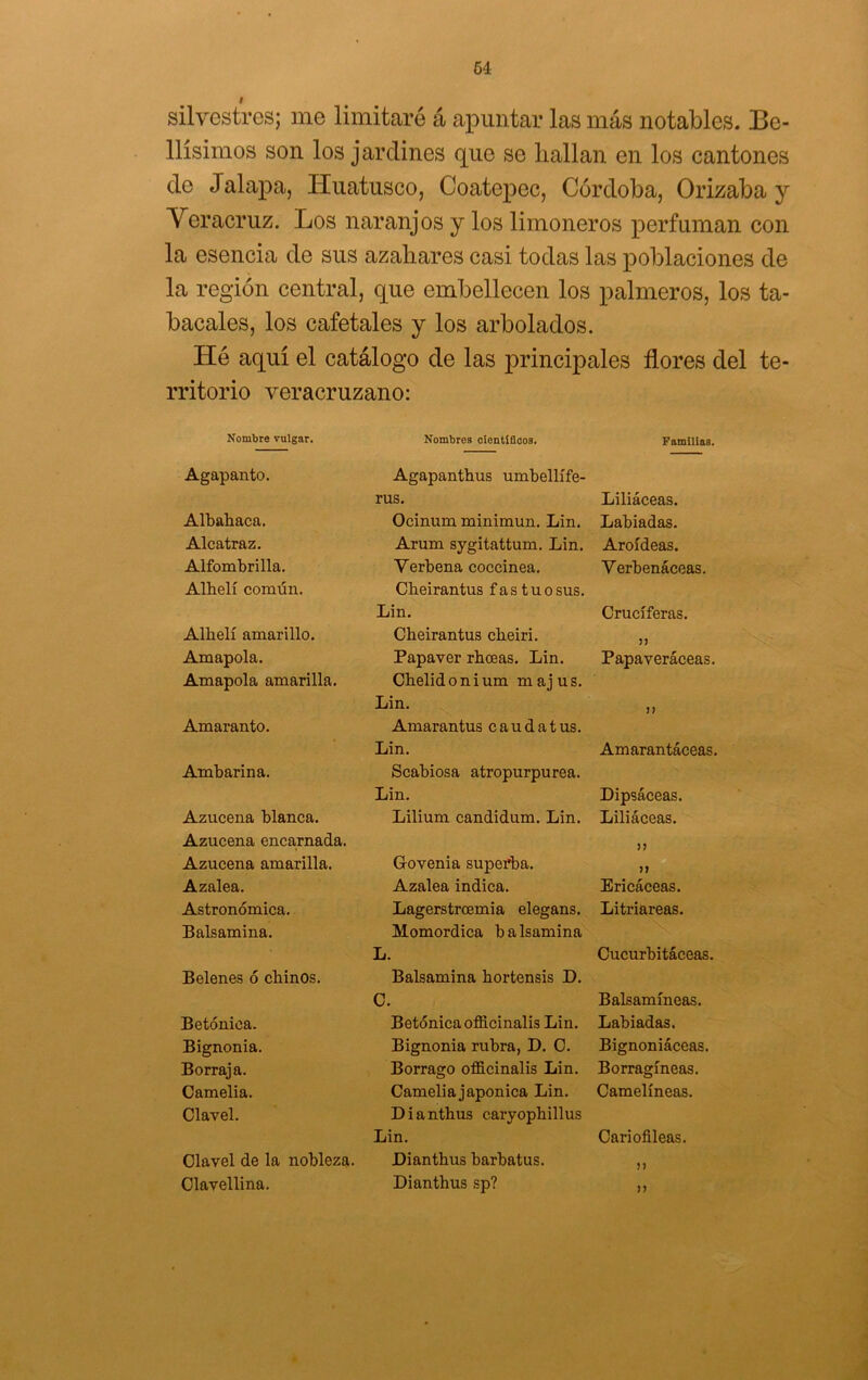 i silvestres; me limitaré á apuntar las más notables. Be- llísimos son los jardines que se bailan en los cantones de Jalapa, líuatusco, Coatepec, Córdoba, Orizaba y Veracruz. Los naranjos y los limoneros perfuman con la esencia de sus azahares casi todas las poblaciones de la región central, que embellecen los palmeros, los ta- bacales, los cafetales y los arbolados. Hé aquí el catálogo de las j)rincipales flores del te- rritorio veracruzano: Nombre vulgar. Nombres cientiScos. Familias. Agapanto. Agapanthus umbellífe- rus. Liliáceas. Albahaca. Ocinum minimun. Lin. Labiadas. Alcatraz. Arum sygitattum. Lin. Aroídeas. Alfombrilla. Verbena coccinea. Verbenáceas, Alhelí común. Cheirantus f as t u o sus. Lin. Cruciferas. Alhelí amarillo. Cheirantus cheiri. Amapola. Papaver rhoeas. Lin. Papaveráceas. Amapola amarilla. Chelidonium majus. Lin. M Amaranto. Amaran tus c a u d a t us. Lin. Amarantáceas. Ambarina. Scabiosa atropurpúrea. Lin, Dipsáceas. Azucena blanca. Lilium candidum. Lin. Liliáceas. Azucena encarnada. 5J Azucena amarilla. Govenia supeíba. Azalea. Azalea indica. Ericáceas. Astronómica. Lagerstrcemia elegans. Litriareas. Balsamina. Momordica balsamina L. Cucurbitáceas. Belenes ó chinos. Balsamina hortensis D. C. Balsamíneas. Betónica. Betónica officinalis Lin. Labiadas. Bignonia. Bignonia rubra, D. C. Bignoniáceas. Borraja. Borrago officinalis Lin. Borragíneas. Camelia. Camelia japónica Lin, Camelíneas. Clavel. Dianthus caryophillus Lin. Cariofileas. Clavel de la nobleza. Dianthus barbatus. n Clavellina. Dianthus sp? )>