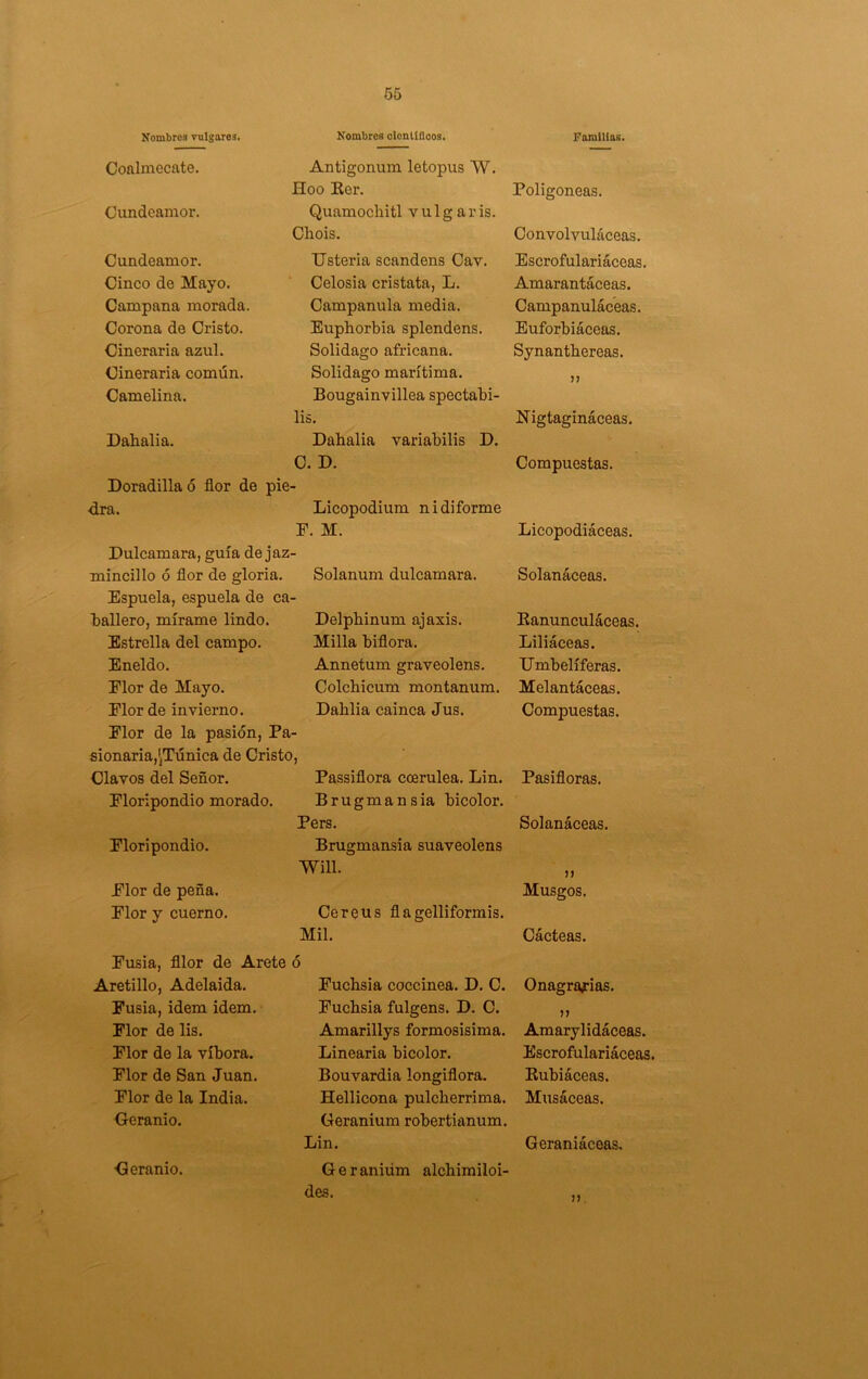 Nombres vulgares. Conlmecate. Cundeamor. Cundeamor. Cinco de Mayo. Campana morada. Corona de Cristo. Cineraria azul. Cineraria común. Camelina. Dahalia. Doradilla ó flor de pie dra. Dulcamara, guía de jaz- mincillo ó flor de gloria. Espuela, espuela de ca- ballero, mírame lindo. Estrella del campo. Eneldo. Elor de Mayo. Elor de invierno. Elor de la pasión, Pa- sionaria,'jTúnica de Cristo, Clavos del Señor. Eloripondio morado. Eloripondio. Elor de peña. Elor y cuerno. Nombres olcnllfloos. Antigonum letopus W. Hoo Ker. Quamochitl v u 1 g a r is. Cliois. Dsteria scandens Cav. Celosia cristata, L. Campánula media. Euphorbia splendens. Solidago africana. Solidago marítima. Bougainvillea spectabi- lis. Dahalia variabilis D. C. D. Licopodium ni diforme E. M. Solanum dulcamara. Delpbinum ajaxis. Milla biflora. Annetum graveolens. Colcbicum montanum. Dablia cainca Jus. Passiflora coerulea. Lin. Brugmansia bicolor. Pers. Brugmansia suaveolens Will. Cereus flagelliformis. Mil. Eusia, fllor de Arete ó Aretillo, Adelaida. Eusia, Ídem idem. Elor de lis. Elor de la víbora. Elor de San Juan. Elor de la India. Geranio. Geranio. Euchsia coccinea. D. C. Euebsia fulgens. D. C. Amarillys formosisima. Linearía bicolor. Bouvardia longiflora. Hellicona puleberrima. Geranium robertianum. Lin. Geraniúm alchimiloi- des. Familias. Poligoneas. Convolvuláceas. Escrofulariáceas. Amarantáceas. Campanuláceas. Euforbiáceas. Synantbereas. Nigtagináceas. Compuestas. Licopodiáceas. Solanáceas. Eanunculáceas. Liliáceas. Umbelíferas. Melantáceas. Compuestas. Pasifloras. Solanáceas. >1 Musgos. Cácteas. Onagrafias. }> Amarylidáceas. Escrofulariáceas. Rubiáceas. Musáceas. Geraniáceas, u.