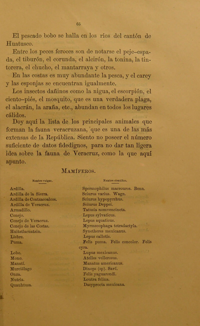 El pescado bobo se halla en los ríos del cantón de Huatiisco. Entre los peces feroces son de notarse el j)oje-espa- da, el tiburón, el corimda, el alcirón, la tonina, la tin- torera, el chucho, el mantarraya y otros. En las costas es muy abundante la pesca, y el carey y las esponjas se encuentran igualmente. Los insectos dañinos como la nigua, el escorpión, el ciento-piés, el mosquito, que es una verdadera plaga, el alacrán, la araña, etc., abundan en todos los lugares cálidos. Doy aquí la lista de los principales animales que forman la fauna veracruzana, 'que es una de las más extensas de la República. Siento no poseer el número suficiente de datos fidedignos, para no dar tan ligera idea sobre la fauna de Yeracruz, como la que aquí apunto. Mamífekos. Nombre vulgar.- Nombre científico. Ardilla. Ardilla de la Sierra. Ardilla de Coatzacoalcos. Ardilla de Yeracruz. Armadillo. Conejo. Conejo de Veracruz. Conejo de las Costas. Huitztlacuatzin. Liebre. Puma. Spermophilus macrouros. Benn. Sciurus varius. Wagn. Sciurus bypopyrrbus. Sciurus Deppei. Tatusia nomvencineta. Lepus sylvaticus. Lepus aquaticus. Myrmecopbaga tetradactyla. Synetheres mexieanus. Lepus callotis. Pelis puma. Pelis concolor. Pelis Murciélago Lobo. Mono. Manatí, Onza. Nutria, Quaubtusa. cyra. Lupus mexieanus. Atelles vellorosus. Manatus americanus. Dinops (sp). Saví. Pelis yaguarondi. Loutra felina. Dasyprocta mexicana.