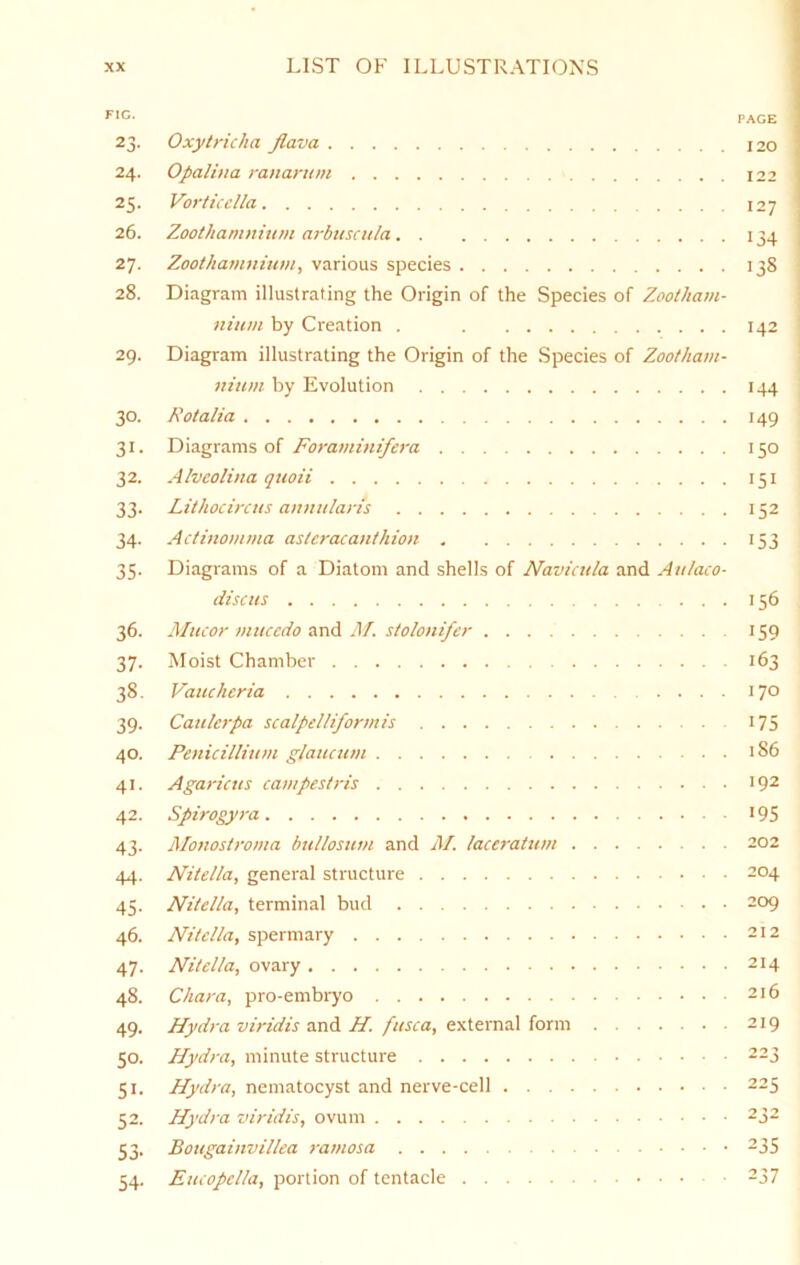 FIG. 23- 24. 25- 26. 27. 28. 29. 30. 31- 32. 33- 34- 35- 36. 37- 38. 39- 40. 41. 42. 43- 44. 45- 46. 47- 48. 49- 50. SI- 52. 53- 54- Oxytricha Jlava Opalina rananun Vorticclla Zoothamnium arbuscula Zoothamuinm, various species Diagram illustrating the Origin of the Species of Zootham- nium by Creation . Diagram illustrating the Origin of the Species of Zootham- nium by Evolution Rotalia Diagrams of Foraminifera Alveolina quoii Lithocircus annularis Actinomma astcracanthion Diagrams of a Diatom and shells of Naviada and Aulaco- discus Mucor mucedo and M. stolonifer Moist Chamber Vattcheria Catderpa scalpelliformis Penicillium glaucum Agarictts campestris Spirogyra Monostroma hullosum and M. laceratum Nitclla, general structure Nitella, terminal bud Nitclla, spermary Nitella, ovary Chara, pro-embryo Hydra viridis and H. fusca, external form Hydra, minute structure Hydra, nematocyst and nerve-cell Hydra viridis, ovum Bougainvillea ramosa Eucopclla, portion of tentacle PAGE 120 122 127 134 138 i i 142 i 144 149 150 151 152 153 156 159 163 170 175 186 192 195 202 204 209 212 214 216 219 223 223 232 235 237