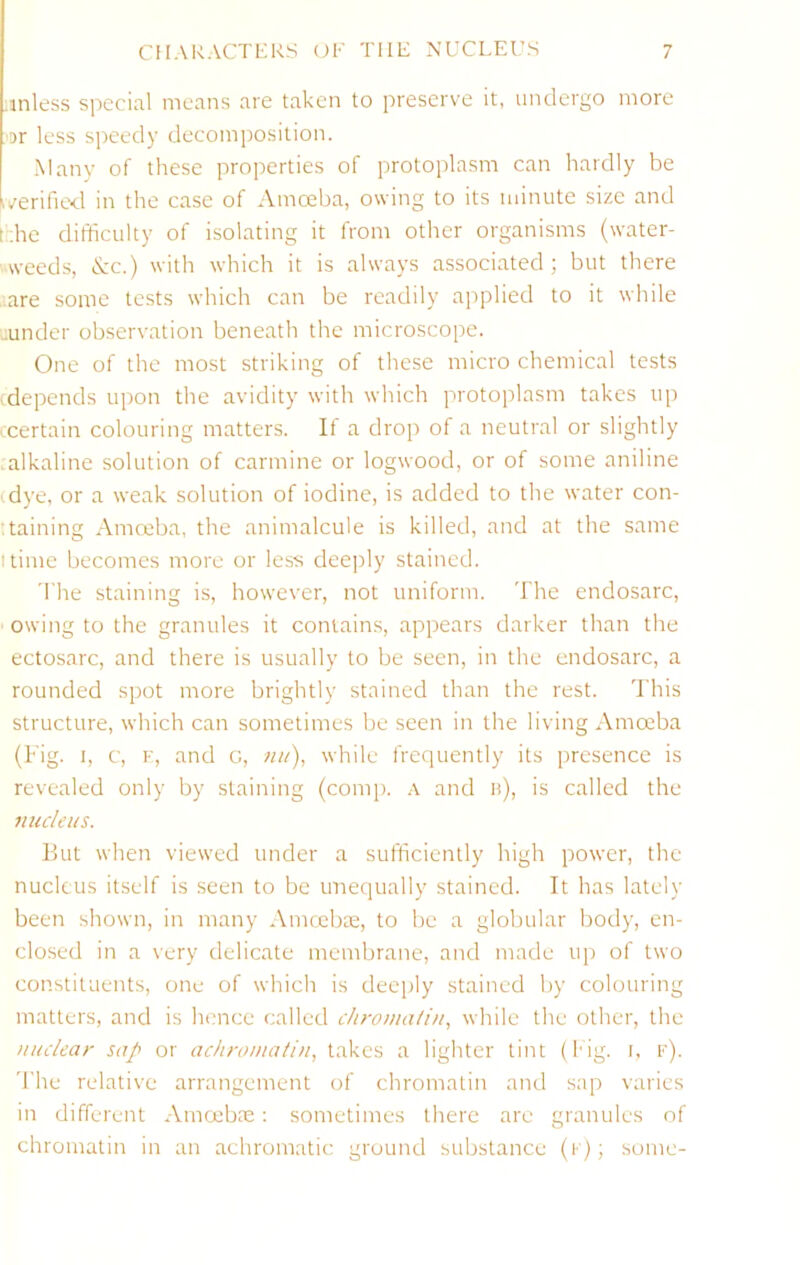 .inless special means are taken to preserve it, undergo more or less speedy decomposition. -Many of these properties of protoplasm can hardly be iverifiexl in the case of Amoeba, owing to its minute size and t;he difficulty of isolating it from other organisms (water- weeds, A'c.) with which it is always associated; but there ..are some te.sts which can be readily ajiplied to it while :under observation beneath the microscope. One of the most striking of these micro chemical tests (depends upon the avidity with which protoplasm takes up • certain colouring matters. If a drop of a neutral or slightly alkaline solution of carmine or logwood, or of some aniline (dye, or a weak solution of iodine, is added to the water con- taining Amceba, the animalcule is killed, and at the same I time becomes more or less deeply stained. 'The staining is, however, not uniform. The endosarc, owing to the granules it contains, appears darker than the ectosarc, and there is usually to be seen, in the endosarc, a rounded spot more brightly stained than the rest. This structure, which can sometimes be seen in the living Amoeba (Fig. I, c, K, and G, «//), while frequently its presence is revealed only by staining (comp. and h), is called the nucleus. Eut when viewed under a sufficiently high power, the nucleus itself is seen to be unequally stained. It has lately been shown, in many Amcebte, to be a globular body, en- closed in a very delicate membrane, and made up of two constituents, one of which is deeply stained by colouring matters, and is hence called chromatin, while the other, the nuclear sap or acliro/natin, takes a lighter tint (I'ig. i, v). 'I'he relative arrangement of chromatin and sap varies in different Amcebne; sometimes there are granules of chromatin in an achromatic ground substance (k); some-