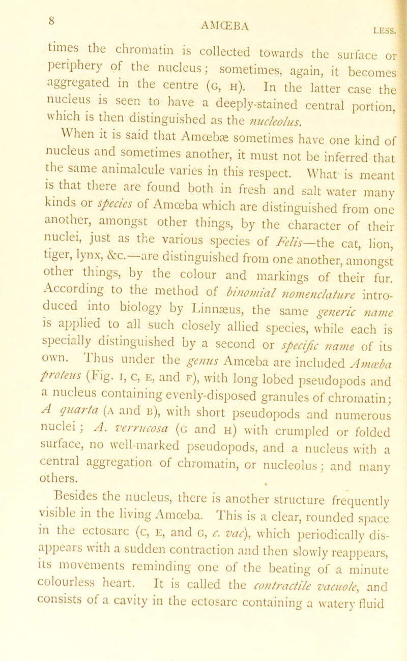 AMCEBA LESS. times tlie chromatin is collected towards the surface or periphery of the nucleus; sometimes, again, it becomes aggregated in the centre (g, h). In the latter case the nucleus is seen to have a deeply-stained central portion, which IS then distinguished as the ttuc/eo/us. ^V hen it is said that Amoeba sometimes have one kind of nucleus and sometimes another, it must not be inferred that the same animalcule varies in this respect. What is meant is that there are found both in fresh and salt water many kinds or species of Amoeba which are distinguished from one another, amongst other things, by the character of their nuclei, just as the various species of Felts—the cat, lion, tiger, lynx, &c. are distinguished from one another, amongst other things, by the colour and markings of their fur. According to the method of binoviial Jtomenclature intro- duced into biology by Linn£eus, the same generic name is applied to all such closely allied species, while each is specially distinguished by a second or specific name of its own. I'hus under the genns Amoeba are included Amceba proteus (Fig. i, c, E, and f), with long lobed pseudopods and a nucleus containing evenly-disposed granules of chromatin; A guarta (a and b), with short pseudopods and numerous nuclei ; A. verrucosa (g and h) with crumpled or folded surface, no well-marked pseudopods, and a nucleus with a cential aggregation of chromatin, or nucleolus; and many others. Besides the nucleus, there is another structure frequently visible in the living Amoeba. This is a clear, rounded space in the ectosarc (c, k, and G, c. vac), which periodically dis- appears with a sudden contraction and then slowly reappears, us movements reminding one of the beating of a minute colourless heart. It is called the contractile vacuole, and consists of a cavity in the ectosarc containing a watery fluid