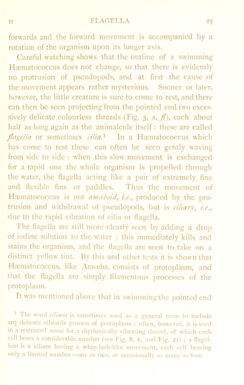 FLAGELLA forwards and tlie forward movement is accompanied by a rotation of the organism upon its longer axis. Careful watching shows that the outline of a swimming Hiematococcus does not change, so that there is evidently no protrusion of pseudopods, and at first the cause of the movement appears rather mysterious. Sooner or later, however, the little creature is sure to come to rest, and there can then be seen projecting from the pointed end two exces- sively delicate colourless threads (Fig. 3, a, _/?), each about half as long again as the animalcule itself: these are called flagella or sometimes cilia} In a Hrematococcus which has come to rest these can often be seen gently waving from side to side : when this slow movement is exchanged for a rapid one the whole organism is propelled through the water, the flagella acting like a pair of extremely fine and flexible fins or paddles. Thus the movement of Hcematococcus is not amceboid, i.e., produced by the pro- trusion and withdrawal of pseudopods, but is ciliary, i.e., due to the rapid vibration of cilia or flagella. The flagella are still more clearly seen by adding a dro]-) of iodine solution to the water : this immediately kills and stains the organism, and the flagella are seen to take on a distinct yellow tint. l!y this and other tests it is shown that Hrematococcus, like Amceba, consists of protoplasm, and that the flagella are simply filamentous jn-ocesses of the protoplasm. It was mentioned above that in swimming the ]>ointed end ’ The word aliiun is somelimes used .o,-. a ^eneial term to include any delicate vibratile ]irocess of protoplasm : often, however, it is used in a restricted sense for a rhythmically vihratint^ thread, of which each cell bears a considerable number (see Fig. S, k, and Fig. 21) ; a llagcl- lum is a ciliuni having a whip-lash-like movement, each cell bearing only a limited number—one or two, or occasionally as many as four.