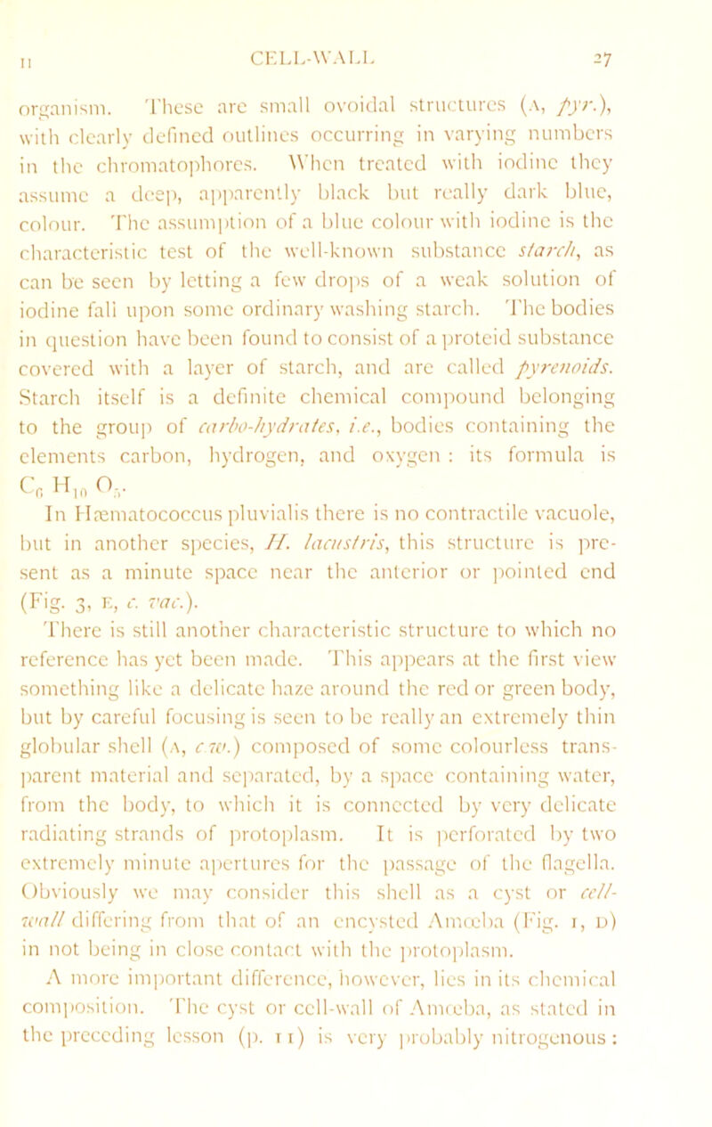 organism. 'These are small ovoidal structures (.\, pyr.), with clearly defined outlines occurring in varying numbers in the chromatophorcs. When treated with iodine they assume a dceji, apparently black but really dark blue, colour. The assum])tion of a blue colour with iodine is the characteristic test of the well-known substance starch, as can be seen by letting a few clrojis of a weak solution of iodine fall upon some ordinary washing starch. 'The bodies in question have been found to consist of a proteid substance covered with a layer of starch, and are called pyrenoids. Starch itself is a definite chemical com])otmd belonging to the group of carbo-hydrates, i.e., bodies containing the elements carbon, hydrogen, and oxygen : its formula is Cr, In Htematococcus pluvialis there is no contractile vacuole, but in another species, IP. lacustris, this structure is pre- sent as a minute space near the anterior or jioinled end (Fig. 3, K, 0 vac). 'There is still another characteristic structure to which no reference has yet been made. 'This appears at the first view something like a delicate haze around the red or green body, but by careful focusing is seen to be really an extremely thin globular shell (a, c w.) composed of some colourless trans- ])arcnt material and separated, by a space containing water, from the body, to which it is connected by very delicate radiating strands of protoplasm. It is perforated by two extremely minute apertures for the passage of the flagella. Obviously we may consider this shell as a cyst or cell- wall differing from that of an encysted .Amceba (Fig. i, u) in not being in close contact with the jirotoplasm. A more important difference, however, lies in its chemical com|)Osition. 'The cyst or cell-wall of Anneba, as stated in the preceding lesson (p. ii) is very probably nitrogenous :