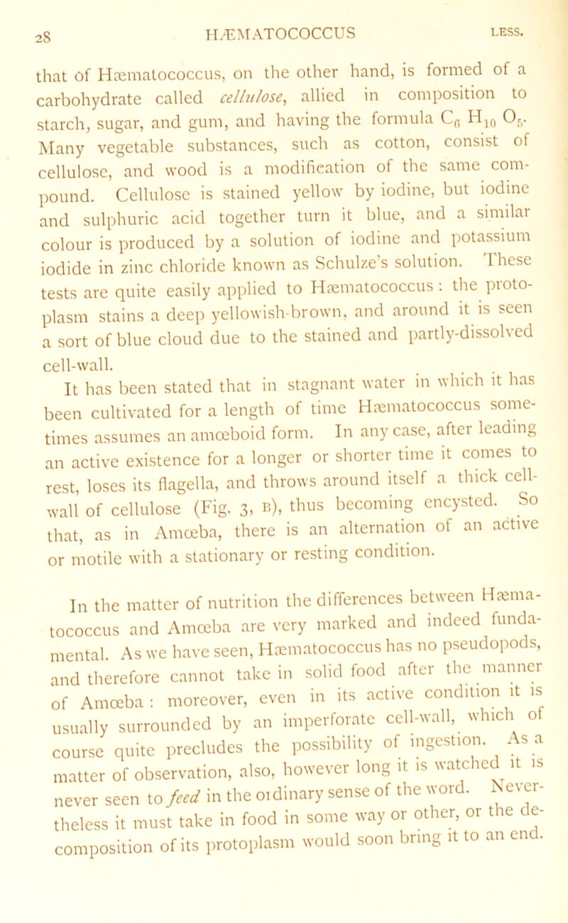 that of Htematococcus, on the other hand, is formed of a carbohydrate called cellulose, allied in composition to starch, sugar, and gum, and having the formula C(, Hjq O;,. Many vegetable substances, such as cotton, consist of cellulose, and wood is a modification of the same com- pound. Cellulose is stained yellow by iodine, but iodine and sulphuric acid together turn it blue, and a similar colour is produced by a solution of iodine and potassium iodide in zinc chloride known as Schulze’s solution. These tests are quite easily applied to H?ematococcus . the pioto- plasm stains a deep yellowish-brown, and around it is seen a sort of blue cloud due to the stained and partly-dissolved cell-wall. It has been stated that in stagnant water in which it has been cultivated for a length of time Htematococcus some- times assumes an amoeboid form. In any case, after leading an active existence for a longer or shorter time it comes to rest, loses its flagella, and throws around itself a thick cell- wall of cellulose (Fig. 3, b), thus becoming encysted. So that, as in Amoeba, there is an alternation of an active or motile with a stationary or resting condition. In the matter of nutrition the differences between Htema- tococcus and Amoeba are very marked and indeed funda- mental. As we have seen, Hcematococciis has no pseudopods, and therefore cannot take in solid food after the manner of Amoeba: moreover, even in its active condition it is usually surrounded by an imperforate cell-wall, which of course quite precludes the possibility of ingestion. As a matter of observation, also, however long it is watched it is never seen to feed in the 01 dinary sense of the word. IS e\ er- theless it must take in food in some way or other, or the de- composition of its protoplasm would soon bring it to an en .