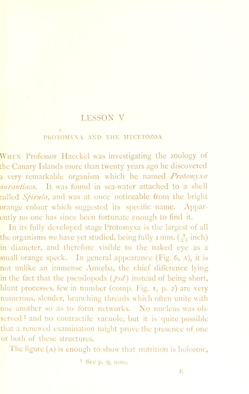 PkOrOMYX \ ANU THK MVCKTOZOA When Professor Haeckel was investigating the zoology of the Canary Islands more than twenty years ago he discovered a very remarkable organism which he named Frotomyxa •lurantiaca. It was found in sea-water attached to a shell called Spirilla, and was at once noticeable from the bright orange colour which suggested its specific name. Apjiar- ently no one has since been fortunate enough to find it. In its fully devcloiied stage Protomy.xa is the largest of all the organisms we have yet studied, being fully i mm. (J. inch) in diameter, and therefore visible to the naked eye as a small orange speck. In general appearance (Fig. 6, a), it is not unlike an immense Amceba, the cliief difference lying in the fact that the jiseudopods {psd) instead of being short, blunt processes, few in number (com]). Fig. i, p. 2) are very numerous, slender, branching threads which often unite with one another so as to form network.s. No nucleus was ob- served ^ and no contractile vacuole, but it is quite possible that a renewed e.xamination might prove the presence of one or both of these .structures. The figure (a) is enough to show that nutrilio'n is holozoic,