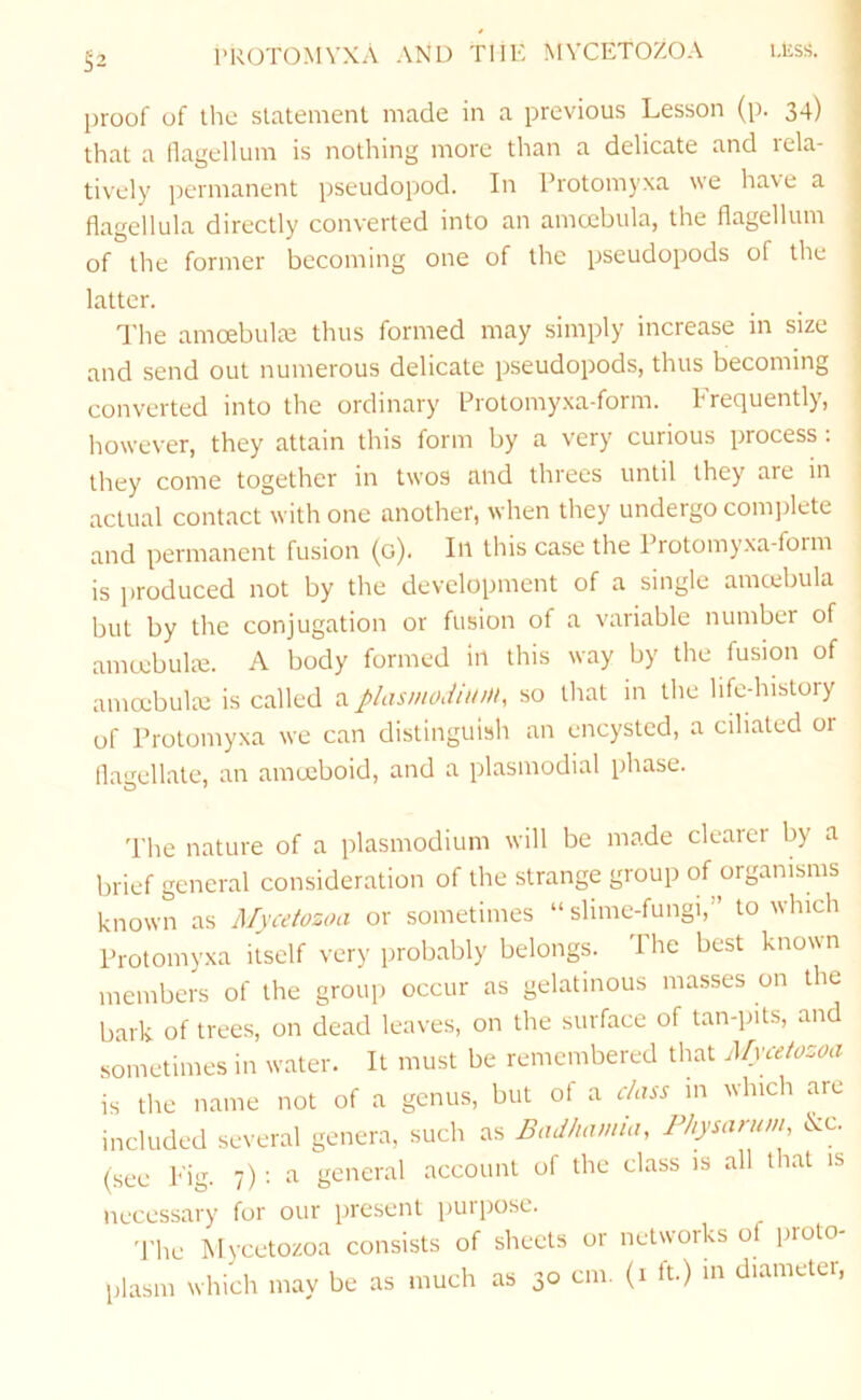 proof of the slatenienl made in a previous Lesson (p. 34) that a llagellum is nothing more than a delicate and rela- tively permanent pseudopod. In Protomyxa we have a flagellula directly converted into an amcebula, the flagellum of the former becoming one of the pseudopods of the latter. The amoebulte thus formed may simply increase in size and send out numerous delicate pseudopods, thus becoming converted into the ordinary Erotomy.xa-form. Frequently, however, they attain this form by a very curious process: they come together in twos and threes until they are in | actual contact with one another, when they undergo comjilete and permanent fusion (o). In this case the Protomyxa-form is produced not by the development of a single amcebula but by the conjugation or fusion of a variable number of amcebulre. A body formed in this way by the fusion of amoebulrc is called a plasmodium, so that in the life-history of Protomyxa we can distinguish an encysted, a ciliated or flaiiellate, an amoeboid, and a plasmodial phase. 'Phe nature of a plasmodium will be made clearer by a brief general consideration of the strange group of organisms known as Mycetozoa or sometimes “ slime-fungi,” to which Protomyxa itself very probably belongs. I he best known members of the group occur as gelatinous masses on the bark of trees, on dead leaves, on the surface of tan-pits, and sometimes in water. It must be remembered that Mycetozoa is the name not of a genus, but of a class m which are included several genera, such as Badhamia, Fhysanim, &c. (see Fig. 7) : a general account of the class is all that is necessary for our present purpose. The Mycetozoa consists of sheets or networks of proto- plasm which may be as much as 30 cm. (1 ft.) m diameter.