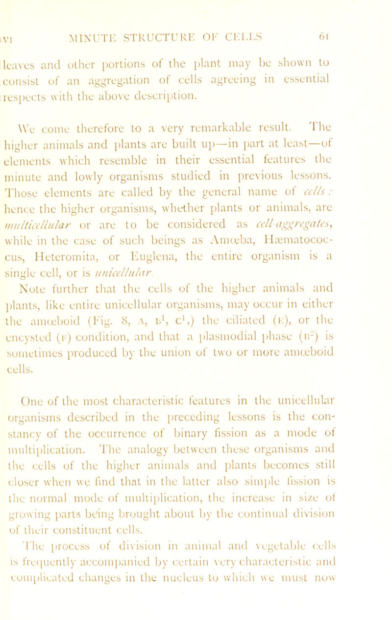 IV] leaves and oilier porlions of tlic plant may be shown to consist of an aggregation of cells agreeing in essential resiiects with the above descrii)lion. We come therefore to a very remarkable result. T’he higher animals and plants are built up—in part at least—of elements which resemble in their essential features the minute and lowly organisms studied in previous lessons. Those elements are called by the general name of cel/s : hence the higher organisms, whether plants or animals, are multicellular or are to be considered as cell ag^i^/rgates, while in the case of such beings as Amceba, Hamiatococ- cus, lleteromita, or Euglena, the entire organism is a single cell, or is unicellular. Note further that the cells of the higher animals and plants, like entire unicellular organisms, may occur in either the amoeboid (hig. 8, .\, u', cb) the ciliated (i':), or the encysted (f) condition, and that a idasmodial phase (if-) is sometimes produced by the union of two or more amceboid cells. One of the most characteristic features in the unicellular organisms described in the preceding lessons is the con- stancy of the occurrence of binary fission as a mode of multiiilication. The analogy between these organisms and the cells of the higher animals and plants becomes still closer when we find that in the latter also simple fission is the normal mode of multiidication, the increase in size of growing parts be'ing hrought about by the continual division of their constituent cells. file process of di\ision in animal and vegetable cells is fre(|uently accompanied by certain \ ery characteristic and complicated changes in the nucleus to which we must now