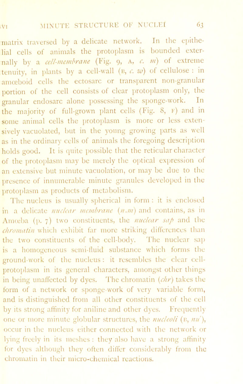 MIXUTK STRUCTURK OR NUCLKI VI 6^ nuitrix iraxersed by a delicate network. In tlic ejatlic- lial cells of animals the protoplasm is bounded exter- nally by a cell-meiubrcuie (h'ig. 9, A, c. m) of extreme tenuity, in jilants by a cell-wall (ii, t. 7o) of cellulose : in amceboid cells the ectosarc or transparent non-granular portion of the cell consists of clear protojilasm only, the granular endosarc alone possessing the sponge-work. In the majority of full-grown plant cells (Fig. 8, k) and in some animal cells the protoplasm is more or less exten- sively vacuolated, but in the young growing jiarts as well as in the ordinary cells of animals the foregoing description holds good. It is quite possible that the reticular character of the protoplasm may be merely the optical expression of an extensive but minute vacuolation, or may be due to the presence of innumerable minute granules developed in the protoplasm as products of metabolism. 'I’he nucleus is usually spherical in form : it is enclosed in a delicate nuclear membrane {n.m) and contains, as in Amreba (p. 7) two constituents, the nuclear sap and the chrontalin which exhibit far more striking differences than the two constituents of the cell-body. 'I’he nuclear sap is a homogeneous semi-lluid substance which forms the ground work of the nucleus : it resembles the clear cell- protoplasm in its general characters, amongst other things in being unaffected by dyes. 'Fhc chromatin [clir) takes the form of a network or sponge-work of very variable form, and is distingui.shed from all other constituents of the cell by its strong affinity for aniline and other dyes. Frecpiently one or more minute globular structures, the nucleoli (n, nu'), occur in the nucleus either connected with the network or lying freely in its meshes : they also have a strong aflinily for dyes although they often differ considerably from the chromatin in their micro-chemical reactions.