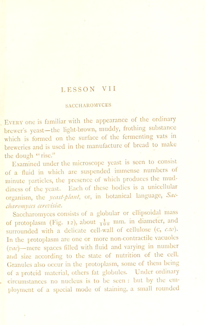 SACCHAROMYCES Every one is familiar with the appearance of the ordinary brewer's yeast—the light-brown, muddy, frothing substance which is formed on the surface of the fermenting vats in breweries and is used in the manufacture of bread to make the dough “rise.” Examined under the microscope yeast is seen to consist of a fluid in which are suspended immense numbers of minute particles, the presence of which produces the mud- diness of the yeast. 1‘iach of these bodies is a unicellular organism, the ycasl-phvit, or, in botanical language, Sac- charomyces cerevisuc. Saccharomyccs consists of a globular or ellipsoidal mass of protoplasm (Fig. 12), about fao diameter, and surrounded with a delicate cell-wall of cellulose (c, r.Tu). In the protoplasm are one or more non-contractile vacuoles (I'tic)—mere spaces filled with fluid and varying in number and size according to the state of nutrition of the cell. (Iranules also occur in the protoplasm, some of them being of a protcid material, others fat globules. Under ordinaly circumstances no nucleus is to be seen : but by the em- ployment of a special mode ot staining, a small rounded