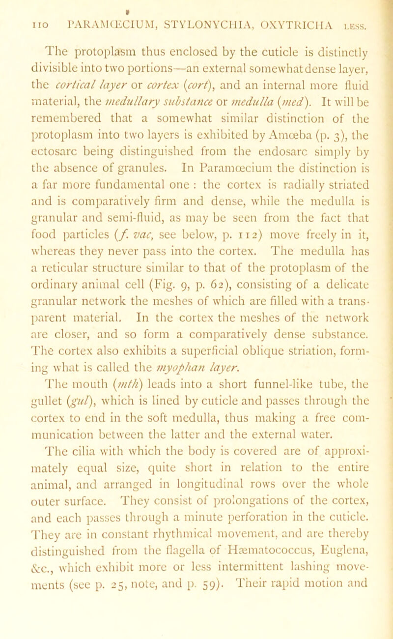 The protoplasm thus enclosed by the cuticle is distinctly divisible into two portions—an external somewhat dense layer, the cortical layer or cortex {corf), and an internal more fluid material, the medullary substance or medulla {med). It will be remembered that a somewhat similar distinction of tlie protoplasm into two layers is exhibited by Amceba (p. 3), the ectosarc being distinguished from the endosarc simply by the absence of granules. In ParamcEcium the distinction is a far more fundamental one : the cortex is radially striated and is comparatively firm and dense, while the medulla is granular and semi-fluid, as may be seen from the fact that food particles (/. vac, see below, p. 112) move freely in it, whereas they never pass into the cortex. The medulla has a reticular structure similar to that of the protoplasm of the ordinary animal cell (Fig- 9, p. 62), consisting of a delicate granular network the meshes of which are filled with a trans- parent material. In the cortex the meshes of the network are closer, and so form a comparatively dense substance. The cortex also exhibits a superficial oblique striation, form- ing what is called the myophan layer. The mouth {mth) leads into a short funnel-like tube, the gullet {gill), which is lined by cuticle and passes through the cortex to end in the soft medulla, thus making a free com- munication between the latter and the external water. The cilia with which the body is covered are of approxi- mately equal size, quite short in relation to the entire animal, and arranged in longitudinal rows over the whole outer surface. They consist of prolongations of the cortex, and each passes through a minute perforation in the cuticle. They are in constant rhythmical movemerit, and are thereby distinguished from the flagella of Hoematococcus, Euglena, d:c., which exhibit more or less intermittent lashing move- ments (sec p. 25, note, and p. 59). Their rapid motion and