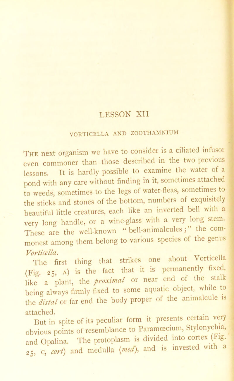 VORTICELLA AND ZOOTHAMNIUM The next organism we have to consider is a ciliated infusor even commoner than those described in the two previous lessons. It is hardly possible to examine the water of a pond with any care without finding in it, sometimes attached to weeds, sometimes to the legs of water-fleas, sometimes to the sticks and stones of the bottom, numbers of exquisitely beautiful little creatures, each like an inverted bell with a very long handle, or a wine-glass with a very long stem. These are the well-known “ bell-animalcules ; the com- monest among them belong to various species of the genus Vorticella. The first thing that strikes one about \orticella (Fig. 25, A) is the fact that it is permanently fixed, like a plant, the proximal or near end of the stalk being always firmly fixed to some aquatic object, while to the distal or far end the body proper of the animalcule is attached. But in spite of its peculiar form it presents certain very obvious points of resemblance to Paramcecium, Stylonychia, and Opalina. The protoplasm is divided into cortex (Fig. 25, c, corf) and medulla {med), and is invested with a