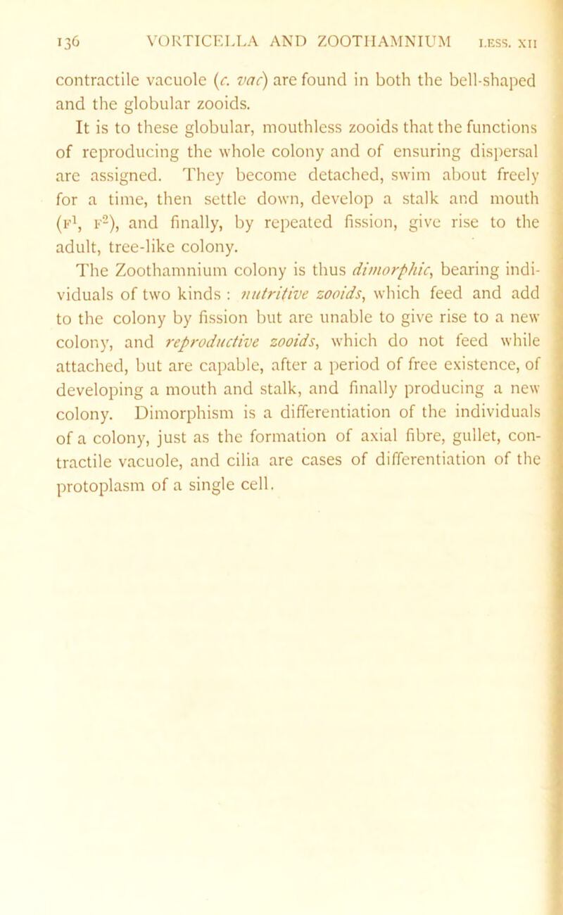contractile vacuole (r. vac) are found in both the bell-shaped j and the globular zooids. It is to these globular, mouthless zooids that the functions ] of reproducing the whole colony and of ensuring dispersal are assigned. They become detached, swim about freely for a time, then settle down, develop a stalk and mouth (lA, I.-2), and finally, by repeated fission, give rise to the adult, tree-like colony. The Zoothamnium colony is thus dimorphic^ bearing indi- viduals of two kinds : nutritive zooids, which feed and add to the colony by fission but are unable to give rise to a new colony, and reproductive zooids, which do not feed while attached, but are capable, after a period of free e.xistence, of developing a mouth and stalk, and finally producing a new colony. Dimorphism is a differentiation of the individuals of a colony, just as the formation of axial fibre, gullet, con- tractile vacuole, and cilia are cases of differentiation of the protoplasm of a single cell.