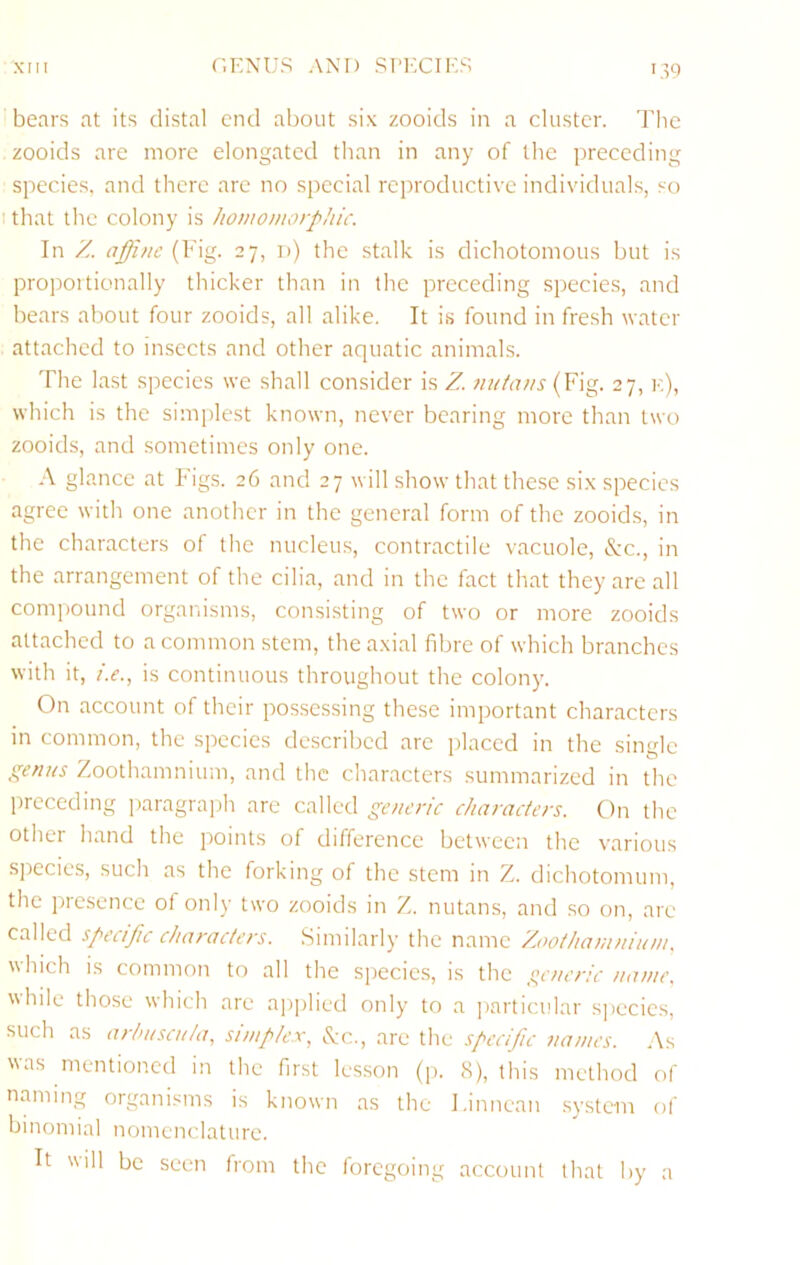 GENUS AND SPECIES bears at its distal end about six zooids in a cluster. The zooids are more elongated than in any of the preceding species, and there arc no special reproductive individuals, so I that the colony is homomorphic. In Z afjhic (Fig. 27, d) the stalk is dichotomous but is propoitionally thicker than in the preceding species, and bears about four zooids, all alike. It is found in fresh water attached to insects and other aquatic animals. The last species we shall consider is Z nutans (Fig. 27, k), which is the sim[ilest known, never bearing more than two zooids, and sometimes only one. A glance at Figs. 26 and 27 will show that these six species agree with one another in the general form of the zooids, in the characters of the nucleus, contractile vacuole, &c., in the arrangement of the cilia, and in the fact that they are all compound organisms, consisting of two or more zooids attached to a common stem, the axial fibre of which branches with it, />., is continuous throughout the colony. On account of their possessing these important characters in common, the species described are jilaccd in the single genus Zoothamnium, and the characters summarized in the preceding paragrajih are called generic characters. On the other hand the points of difference between the various s])ecies, such as the forking of the stem in Z. dichotomuni, the presence of only two zooids in Z. nutans, and so on, are called specific characters. Similarly the name Zoothamnium. which is common to all the specie.s, is the ii^eneric name. \'hile those which are applied only to a particular sjiecics, such as arhuscu/a, simplex.^ ivc., are the specific names. As was mentioned in the first les.son (p. <S), this method of naming organisms is known as the l.innean system of binomial nomenclature. It will be seen from the foregoing account that by a