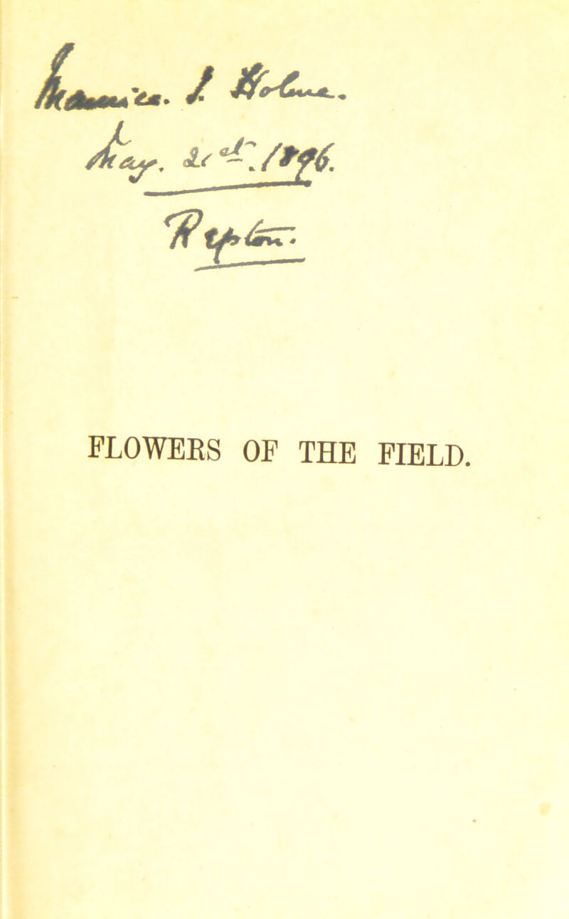 FLOWERS OF THE FIELD.