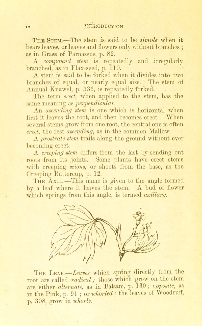 ’-T’TxtODUCTION The Stem.—The stem is said to be simple when it bears leaves, or leaves and flowers only without branches ; as in Grass of Parnassus, p. 82. A compound stem is repeatedly and irregularly branched, as in Flax-seed, p. 110. A stem, is said to be forked when it divides into two branches of equal, or nearly equal size. The stem of Annual Knawel, p. 536, is repeatedly forked. The term erect, when applied to the stem, has the same meaning as perpendicular. An ascending stem is one which is horizontal when first it leaves the root, and then becomes erect. When several stems grow from one root, the central one is often erect, the rest ascending, as in the common Mallow. A prostrate stem trails along the ground without ever becoming erect. A creeping stem differs from the last by sending out roots from its joints. Some plants have erect stems with creeping scions, or shoots from the base, as the Creeping Buttercup, p. 12. The Axie.—This name is given to the angle formed by a leaf where it leaves the stem. A bud or flower which springs from this angle, is termed axillary. The Leaf.—Leaves which spring directly from the root are called radical; those which grow on the stem are either alternate, as in Balsam, p. 130 ; opposite, as in the Pink, p. 91 ; or whorled : the leaves of AV oodrufl, p. 308, grow in whorls.