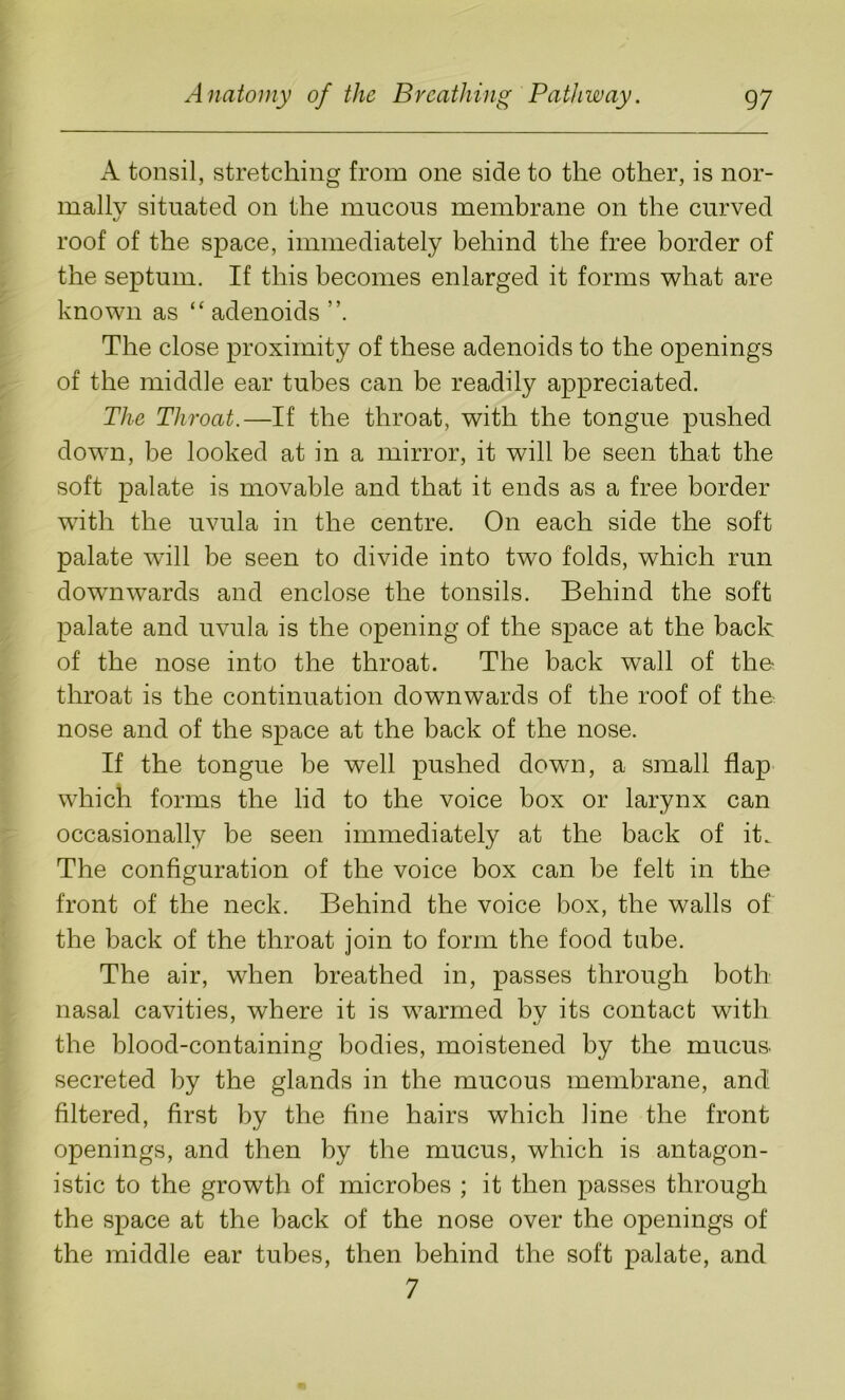 A tonsil, stretching from one side to the other, is nor- mally situated on the mucous membrane on the curved roof of the space, immediately behind the free border of the septum. If this becomes enlarged it forms what are known as “ adenoids The close proximity of these adenoids to the openings of the middle ear tubes can be readily appreciated. The Throat.—If the throat, with the tongue pushed dowrn, be looked at in a mirror, it will be seen that the soft palate is movable and that it ends as a free border with the uvula in the centre. On each side the soft palate wTill be seen to divide into two folds, which run downwards and enclose the tonsils. Behind the soft palate and uvula is the opening of the space at the back of the nose into the throat. The back wall of the. throat is the continuation downwards of the roof of the nose and of the space at the back of the nose. If the tongue be well pushed down, a small flap which forms the lid to the voice box or larynx can occasionally be seen immediately at the back of it. The configuration of the voice box can be felt in the front of the neck. Behind the voice box, the walls of the back of the throat join to form the food tube. The air, when breathed in, passes through both nasal cavities, where it is warmed bv its contact with the blood-containing bodies, moistened by the mucus, secreted by the glands in the mucous membrane, and filtered, first by the fine hairs which line the front openings, and then by the mucus, which is antagon- istic to the growth of microbes ; it then passes through the space at the back of the nose over the openings of the middle ear tubes, then behind the soft palate, and 7