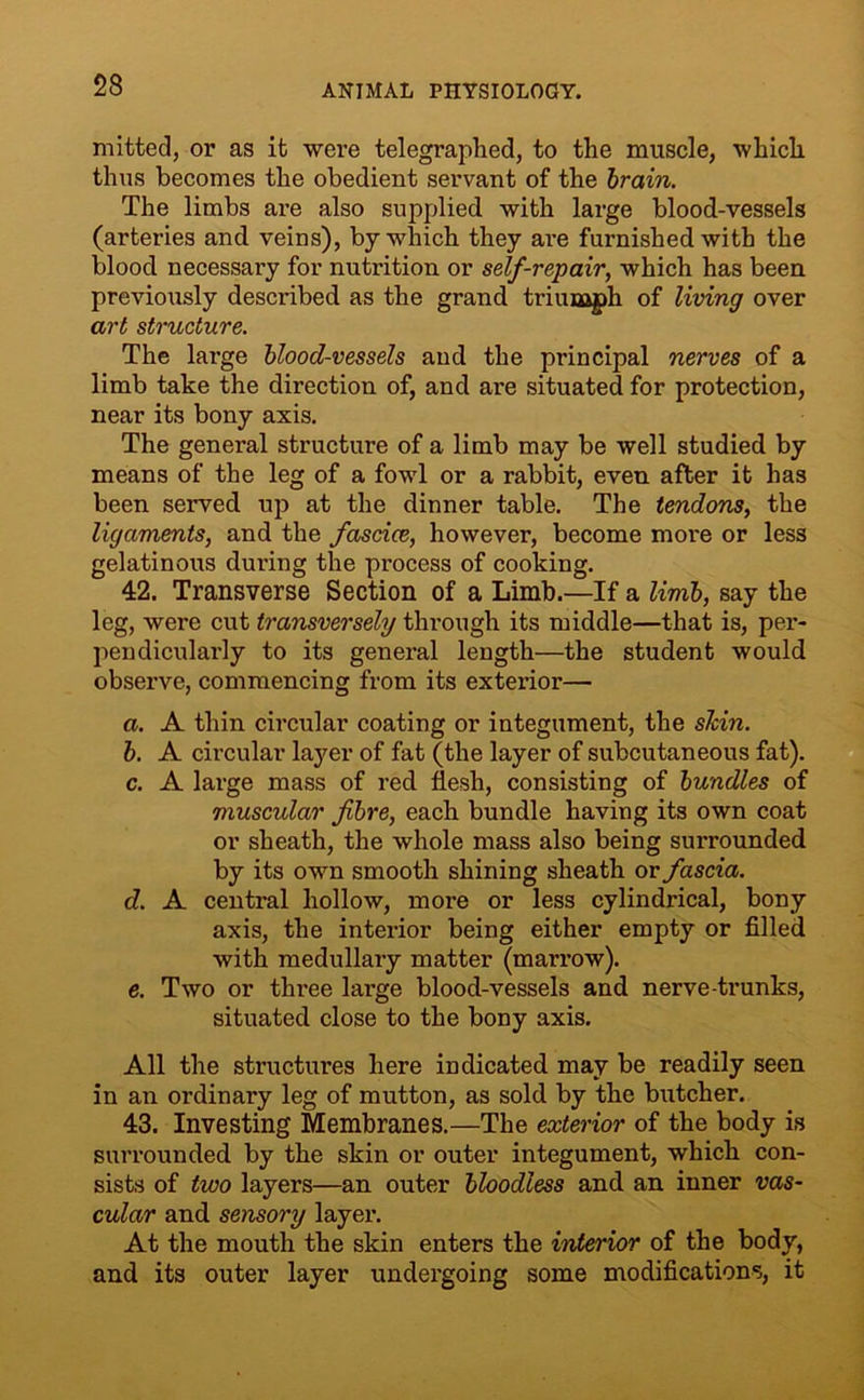 mitted, or as it were telegraphed, to the muscle, which thus becomes the obedient servant of the brain. The limbs are also supplied with large blood-vessels (arteries and veins), by which they are furnished with the blood necessary for nutrition or self-repair, which has been previously described as the grand triumph of living over art structure. The large blood-vessels and the principal nerves of a limb take the direction of, and are situated for protection, near its bony axis. The general structure of a limb may be well studied by means of the leg of a fowl or a rabbit, even after it has been served up at the dinner table. The tendons, the ligaments, and the fascice, however, become more or less gelatinous during the process of cooking. 42. Transverse Section of a Limb.—If a limb, say the leg, were cut transversely through its middle—that is, per- pendicularly to its general length—the student would observe, commencing from its exterior— a. A thin circular coating or integument, the shin. b. A circular layer of fat (the layer of subcutaneous fat). c. A large mass of red flesh, consisting of bundles of muscular fibre, each bundle having its own coat or sheath, the whole mass also being surrounded by its own smooth shining sheath or fascia. d. A central hollow, more or less cylindrical, bony axis, the interior being either empty or filled with medullary matter (marrow). e. Two or three large blood-vessels and nerve-trunks, situated close to the bony axis. All the structures here indicated may be readily seen in an ordinary leg of mutton, as sold by the butcher. 43. Investing Membranes.—The exterior of the body is surrounded by the skin or outer integument, which con- sists of two layers—an outer bloodless and an inner vas- cular and sensory layer. At the mouth the skin enters the interior of the body, and its outer layer undergoing some modifications, it