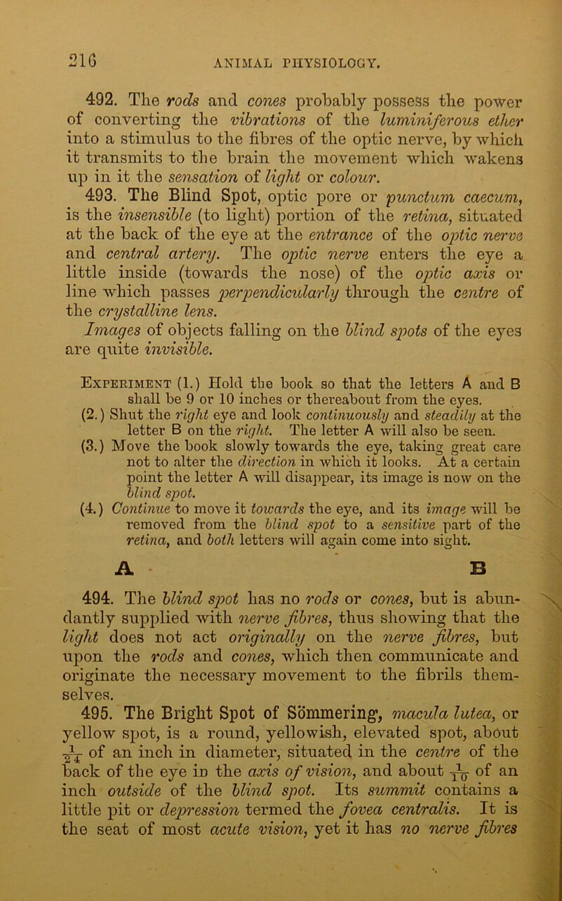 21G 492. Tlie rods and cones probably possess the power of converting the vibrations of the luminiferous ether into a stimulus to the fibres of the optic nerve, by which it transmits to the brain the movement which wakens up in it the sensation of light or colour. 493. Tlie Blind Spot, optic pore or punctum caecum, is the insensible (to light) portion of the retina, situated at the back of the eye at the entrance of the optic nerve and central artery. The optic nerve enters the eye a little inside (towards the nose) of the optic axis or line which passes perpendicularly through the centre of the crystalline lens. Images of objects falling on the blind spots of the eyes are quite invisible. Experiment (1.) Hold tlie book so that the lettei’s A and B shall be 9 or 10 inches or thereabout from the eyes. (2.) Shut the right eye and look continuously and steadily at the letter B on the right. The letter A will also be seen. (3.) Move the book slowly towards the eye, taking great care not to alter the direction in which it looks. At a certain point the letter A will disappear, its image is now on the blind spot. (4.) Continue to move it towards the eye, and its image will be removed from the blind spot to a sensitive part of the retina, and both letters will again come into sight. A B 494. Tlie blind spot has no rods or corns, but is abun- dantly supplied with nerve fibres, thus showing that the light does not act originally on the nerve fibres, but upon the rods and cones, which then communicate and originate the necessary movement to the fibrils them- selves. 495. The Bright Spot of Sommering, macula lutea, or yellow spot, is a round, yellowish, elevated spot, about Ar of an inch in diameter, situated in the centre of the back of the eye in the axis of vision, and about Ay of an inch outside of the blind spot. Its summit contains a little pit or depression termed the fovea centralis. It is the seat of most acute vision, yet it has no 'nerve fibres