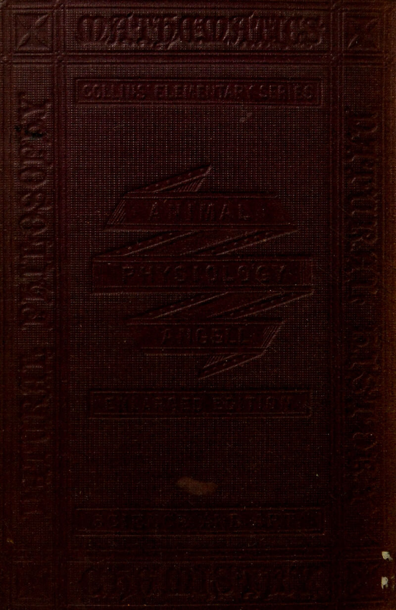 No text description is available for this image