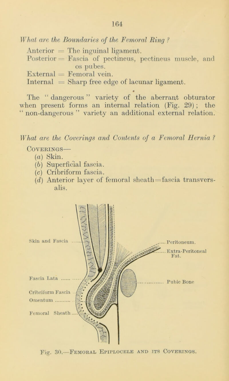 What are the Boundaries of the Femoral Ring ? Anterior = The inguinal ligament. Posterior = Fascia of pectineus, pectineus muscle, and os pubes. External = Femoral vein. Internal — Sharp free edge of lacunar ligament. The “ dangerous ” variety of the aberrant obturator when present forms an internal relation (Fig. 29) ; the “ non-dangerous ” variety an additional external relation. What are the Coverings and Contents of a Femoral Hernia ? Coverings— (a) Skin. (b) Superficial fascia. (c) Cribriform fascia. (d) Anterior layer of femoral sheath=fascia transvers- al is. Skin and Fascia Fascia Lata Cribriform Fascia - im. b: . Omentum tlikL. Femoral Sheath Peritoneum. Extra-Peritoneal Fat. Pubic Bone Fig. 30.—Femoral Efiplocele and its Coverings.