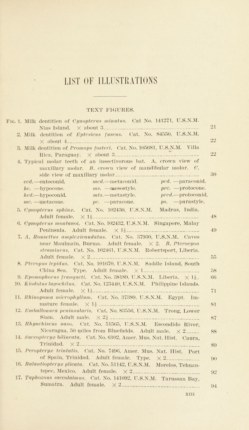 o 3. 4. o* 6. (. TEXT FIGURES. Fig. 1. Milk dentition of Gynopterus minutus. Cat No. 141271, U.S.N.M. Nias Island. X about 3 Milk dentition of Eptesicus fuscus. Cat. No. 84550, U.S.N.M. X about 4 Milk dentition of Promops fosteri. Cat. No. 105681, U.S.N.M. Villa Rica, Paraguay. X about 3 Typical molar teetb of an insectivorous bat. A, crown view of maxillary molar. B, crown view of mandibular molar. C, side view of maxillary molar ecd.—entoconid. mcd.—metaconid. pcd. —paraconid. he. —hypocone. ms. —mesostyle. pro. —protocone. lied.—liypoconid. mts. —metastyle. pred.—protoconid. me. —metacone. pe. —paracone. ps. —parastyle. Gynopterus sphinx. Cat. No. 102430, U.S.N.M. Madras, India. Adult female. X 11 Gynopterus montanoi. Cat. No. 102432, U.S.N.M. Singapore, Malay Peninsula. Adult female. X 1& A, Rousettus amplexicaudatus. Cat. No. 37930, U.S.N.M. Caves near Maulmain, Burma. Adult female. X 2. B, Pterocyon stramineus. Cat. No. 102461, U.S.N.M. Robertsport, Liberia. Adult female. X 2 8. Pteropus tepid us. Cat. No. 101670, U.S.N.M. Saddle Island, South China Sea. Type. Adult female. X 1 9. Epomophorus franqueti. Cat. No. 38189, U.S.N.M. Liberia. X 11_ 10. Kiodotus lagochilus. Cat. No. 123440, U.S.N.M. Philippine Islands. Adult female. X 11 11. Rhinopoma microphyllum. Cat. No. 37389, U.S.N.M. Egypt. Im- mature female. X 11 12. Emhallonura peninsularis. Cat. No. 83556, U.S.N.M. Trong, Lower Siam. Adult male. X 21 13. Rhynchiscus naso. Cat. No. 51565, U.S.N.M. Escondido River, Nicaragua, 50 miles from Bluefields. Adult male, x 2 14. Baccopteryx hilineata. Cat. No. 6102, Amer. Mus. Nat. Hist. Caura, Trinidad. X 2 15. Peropteryx trintatis. Cat. No. 7496, Amer. Mus. Nat. Hist. Port of Spain, Trinidad. Adult female. Type. X 2 16. Balantiopteryx plicata. Cat. No. 51142, U.S.N.M. Morelos, Tehuan- tepec, Mexico. Adult female. X 2 17. Taphozous saccolaimus. Cat. No. 141092, U.S.N.M. Tarussan Bay, Sumatra. Adult female. X 2 09 30 48 49 oo 58 66 71 81 87 88 89 90 92 94