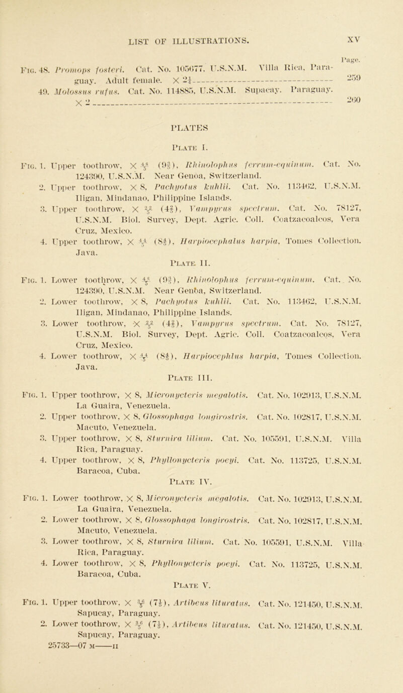 Page. Fig. 48. Promops fosteri. Cat. No. 105077, U.S.N.M. ^ ilia Rica, Para- guay. Adult female. X 40. Molossus rufas. Cat. No. 114885, U.S.N.M. Supacay. Paraguay. x O 200 PLATES Plate I. Fig. 1. Upper tooth row, XV (9§), Rhhwlophus ferrum-equinum. Cat. No. 124390, U.S.N.M. Near Genoa, Switzerland. 2. Upper toothrow, X 8, Pachyotus Jcuhlii. Cat. No. 113402, U.S.N.M. Iligan, Mindanao, Philippine Islands. 3. Upper toothrow, X 2V (4f), Vampyrus spectrum. Cat. No. 78127, U.S.N.M. Biol. Survey, Dept. Agric. Coll. Coatzacoalcos, Vera Cruz, Mexico. 4. Upper toothrow, X V4 (8f), Harpiocephalus harpia, Tomes Collection. Ja\ a. Plate. II. Fig. 1. Lower toothrow, X V (9§)» Rhinoloplius ferrum-equinum. Cat. No. 124390, U.S.N.M. Near Genba, Switzerland. 2. Lower toothrow, X 8, Pachyotus kuhlii. Cat. No. 113402, U.S.N.M. Iligan, Mindanao, Philippine Islands. 3. Lower toothrow, X V2- (4§), Vampyrus spectrum. Cat. No. 78127, U.S.N.M. Biol. Survey, Dept. Agric. Coll. Coatzacoalcos, Vera Cruz, Mexico. 4. Lower toothrow, X V4 (8f), Harpiocephlus harpia, Tomes Collection. Java. Plate III. Fig. 1. Upper toothrow, X 8, Micronycteris megalotis. Cat. No. 102913, U.S.N.M. La Guaira, Venezuela. 2. Upper toothrow, X 8, Glossophaga longirostris. Cat. No. 102817, U.S.N.M. Macuto, Venezuela. 3. Upper toothrow, X 8, Sturnira lilium. Cat. No. 105591, U.S.N.M. Villa Rica, Paraguay. 4. Upper toothrow, X 8, Phyllonycteris poeyi. Cat. No. 113725, U.S.N.M. Baracoa, Cuba. Plate IV. Fig. 1. Lower toothrow, X 8, Micronycteris megalotis. Cat. No. 102913, U.S.N.M. La Guaira, Venezuela. 2. Lower toothrow, X 8, Glossophaga longirostris. Cat. No. 102817, U.S.N.M. Macuto, Venezuela. 3. Lower toothrow, X 8, Sturnira lilium. Cat. No. 105591, U.S.N.M. Villa Rica, Paraguay. 4. Lower toothrow, X 8, Phyllonycteris poeyi. Cat. No. 113725, U.S.N.M. Baracoa, Cuba. Plate V. Fig. 1. Upper toothrow, X V (7s), Artibeus lituratus. Cat. No. 121450, U.S.N.M. Sapucay, Paraguay. 2. Lower toothrow, X V (7J), Artibeus lituratus. Cat. No. 121450, U.S.N.M. Sapucay, Paraguay. 25733—07 m