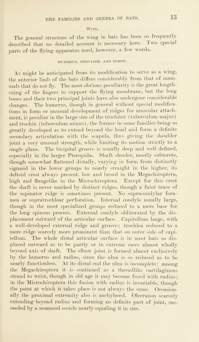 Wing. The general structure of the wing in bats has been so frequently described that no detailed account is necessary here. I wo special parts of the flying apparatus need, however, a few words. HUMERUS, SHOULDER, AND ELBOW. As might be anticipated from its modification to serve as a wing, the anterior limb of the bats differs considerably from that ol mam- mals that do not fly. The most obvious peculiarity is the great length- ening of the fingers to support the flying membrane, but the long bones and their two principal joints have also undergone considerable changes. The humerus, though in general without special modifica- tions in form or unusual development of ridges for muscular attach- ment, is peculiar in the large size of the trochiter (tuberculum majus) and troehin (tuberculum minus), the former in some families being so greatly developed as to extend beyond the head and form a definite secondary articulation with the scapula, thus giving the shoulder joint a very unusual strength, while limiting its motion strictly to a single plane. The bicipital groove is usually deep and well defined, especially in the larger Pteropidse. Shaft slender, mostly subterete, 1 hough somewhat flattened distally, varying in form from distinctly sigmoid in the lower groups to nearly straight in the higher, its deltoid crest always present, low and broad in the Megachiroptera, high and flangelike in the Microchiroptera. Except for this crest the shaft is never marked by distinct ridges, though a faint trace of the supinator ridge is sometimes present. No supracondylar fora- men or supratrochlear perforation. Internal condyle usually large, though in the most specialized groups reduced to a mere base for the long spinous process. External condyle obliterated by the dis- placement outward of the articular surface. Capitellum large, with a well-developed external ridge and groove; trochlea reduced to a mere ridge scarcely more prominent than that on outer side of capi- tellum. The whole distal articular surface is in most bats so dis- placed outward as to be partly or in extreme cases almost wholly beyond axis of shaft. The elbow joint is formed almost exclusively by the humerus and radius, since the ulna is so reduced as to be nearly functionless. At its distal end the ulna is incomplete; among the Megachiroptera it is continued as a threadlike cartilaginous strand to wrist, though in old age it may become fused with radius; in the Microchiroptera this fusion with radius is invariable, though the point at which it takes place is not always the same. Occasion- ally the proximal extremity also is anchylosed. Olecranon scarcely extending beyond radius and forming no definite part of joint, suc- ceeded by a sesamoid ossicle nearly equaling it in size.