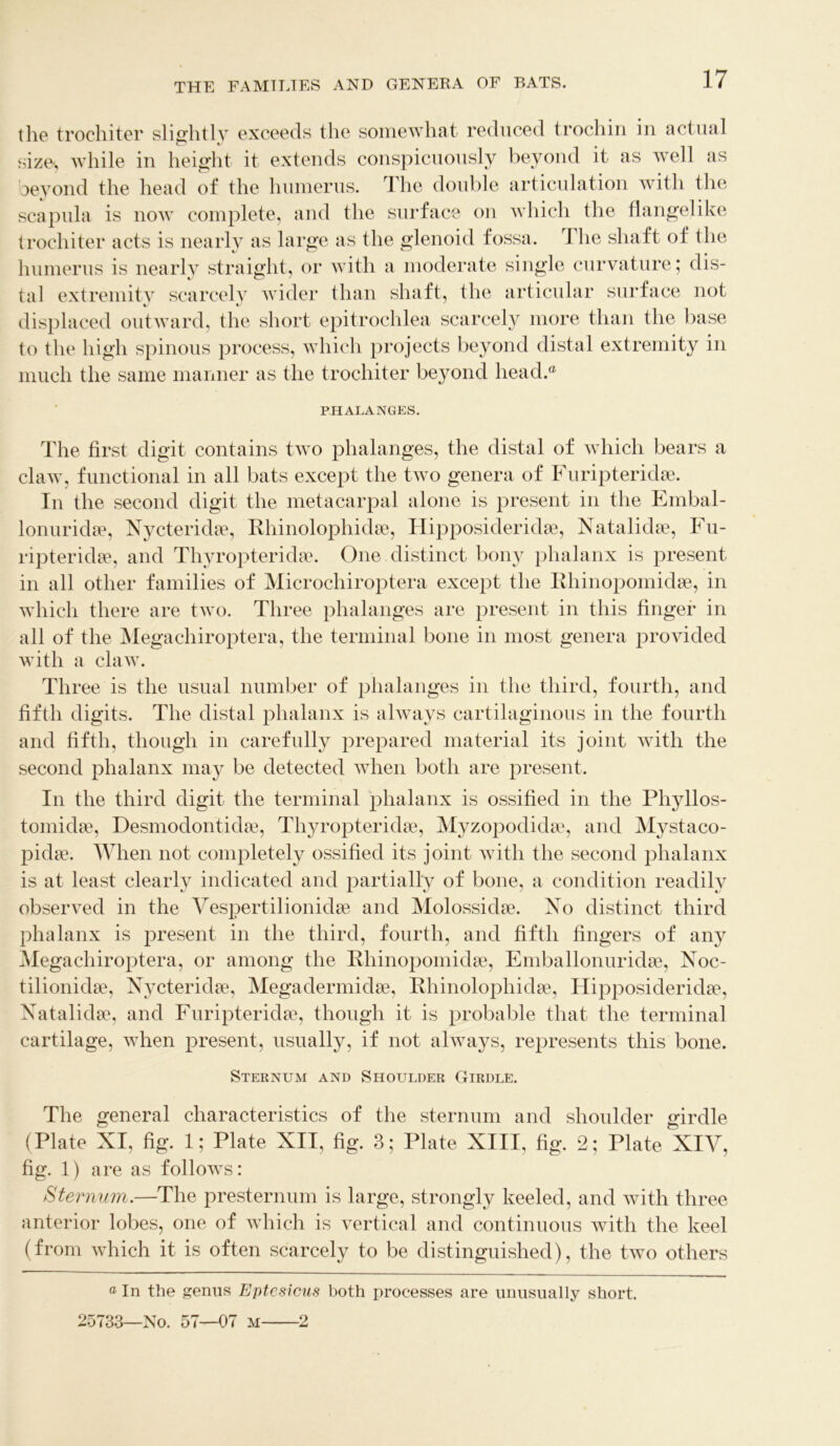 the trochiter slightly exceeds the somewhat reduced trochin in actual sizes while in height it extends conspicuously beyond it as well as beyond the head of the humerus. The double articulation with the scapula is now complete, and the surface on which the flangelike trochiter acts is nearly as large as the glenoid fossa. I he shaft of the humerus is nearly straight, or with a moderate single curvature; dis- tal extremity scarcely wider than shaft, the articular surface not displaced outward, the short epitrochlea scarcely more than the base to the high spinous process, which projects beyond distal extremity in much the same manner as the trochiter beyond head.® PHALANGES. The first digit contains two phalanges, the distal of which bears a claw, functional in all bats except the two genera of Furipteridae. In the second digit the metacarpal alone is present in the Embal- lonuridae, Nycteridse, Rhinolophidae, Hipposideridae, Natalidae, Fu- ripteridae, and Thyropteridae. One distinct bony phalanx is present in all other families of Microchiroptera except the Rhinopomidae, in which there are two. Three phalanges are present in this finger in all of the Megachiroptera, the terminal bone in most genera provided with a claw. Three is the usual number of phalanges in the third, fourth, and fifth digits. The distal phalanx is always cartilaginous in the fourth and fifth, though in carefully prepared material its joint with the second phalanx may be detected when both are present. In the third digit the terminal phalanx is ossified in the Phyllos- tomidae, Desmodontida3, Thyropteridae, Myzopodidae, and Mystaco- pidae. When not completely ossified its joint with the second phalanx is at least clearly indicated and partially of bone, a condition readily observed in the Yespertilionidae and Molossidae. No distinct third phalanx is present in the third, fourth, and fifth fingers of any Megachiroptera, or among the Rhinopomidae, Emballonuridae, Noc- tilionidae, Nycteridae, Megadermidae, Rhinolophidae, Hipposideridae, Natalidae, and Furipteridae, though it is probable that the terminal cartilage, when present, usually, if not always, represents this bone. Sternum and Shoulder Girdle. The general characteristics of the sternum and shoulder girdle (Plate XI, fig. 1; Plate XII, fig. 3; Plate XIII, fig. 2; Plate XIY, fig. 1) are as follows: Sternum.—The presternum is large, strongly keeled, and with three anterior lobes, one of which is vertical and continuous with the keel (from which it is often scarcely to be distinguished), the two others aIn the genus Eptcsicus both processes are unusually short. 25733—No. 57—07 M -2