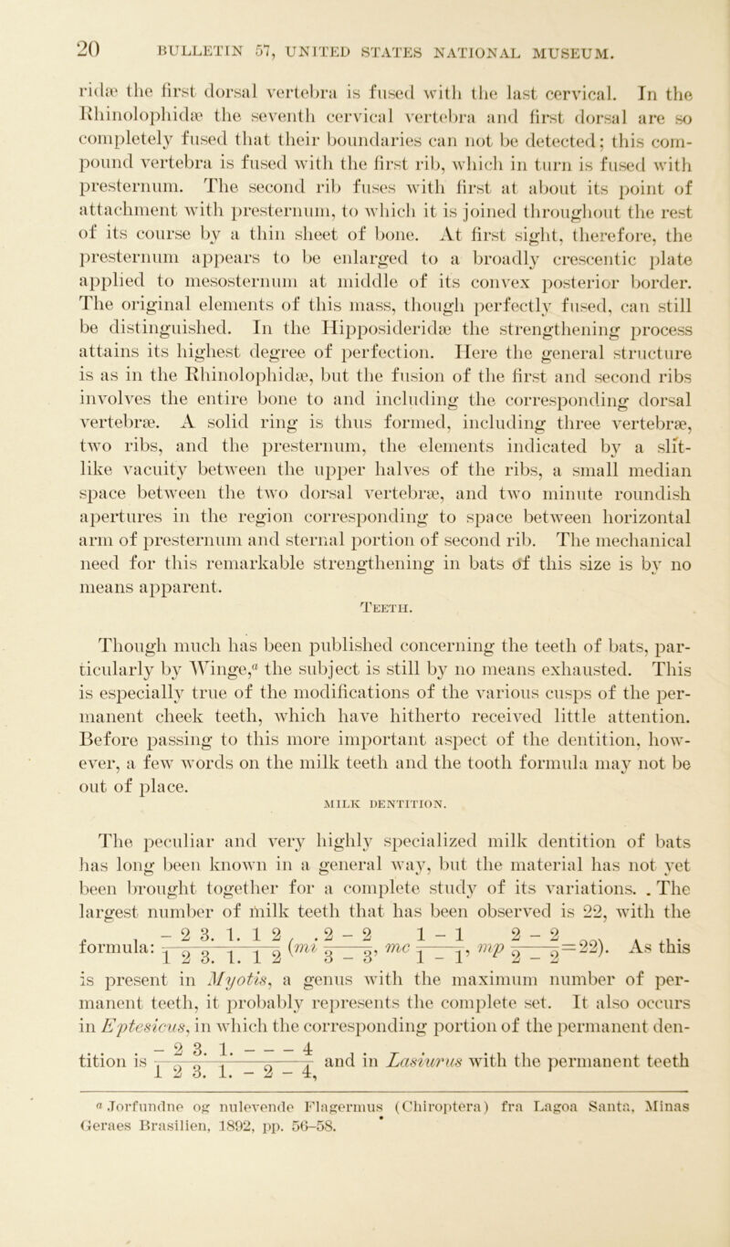 NATIONAL MUSEUM. ridae the first dorsal vertebra is fused with the last cervical. In the Rhinolophidse the seventh cervical vertebra and first dorsal are so completely fused that their boundaries can not be detected; this com- pound vertebra is fused with the first rib, which in turn is fused with presternum. The second rib fuses with first at about its point of attachment with presternum, to which it is joined throughout the rest of its course by a thin sheet of bone. At first sight, therefore, the presternum appears to be enlarged to a broadly crescentic plate applied to mesosternum at middle of its convex posterior border. The original elements of this mass, though perfectly fused, can still be distinguished. In the Hipposideridse the strengthening process attains its highest degree of perfection. Here the general structure is as in the Rhinolophidae, but the fusion of the first and second ribs involves the entire bone to and including the corresponding dorsal vertebrae. A solid ring is thus formed, including three vertebrae, two ribs, and the presternum, the elements indicated by a slit- like vacuity between the upper halves of the ribs, a small median space between the two dorsal vertebrae, and two minute roundish apertures in the region corresponding to space between horizontal arm of presternum and sternal portion of second rib. The mechanical need for this remarkable strengthening in bats of this size is by no means apparent. Teetii. Though much has been published concerning the teeth of bats, par- ticularly by Winge,® the subject is still by no means exhausted. This is especially true of the modifications of the various cusps of the per- manent cheek teeth, which have hitherto received little attention. Before passing to this more important aspect of the dentition, how- ever, a few words on the milk teeth and the tooth formula may not be out of place. MILK DENTITION. The peculiar and very highly specialized milk dentition of bats has long been known in a general way, but the material has not yet been brought together for a complete study of its variations. . The largest number of fnilk teeth that has been observed is 22, with the formula: - 2 3. 1. 1 2 1 2 3. 1. 1 2 me 1-1 j—p mp As this is present in Myotis, a genus with the maximum number of per- manent teeth, it probably represents the complete set. It also occurs in Eptesicus, in which the corresponding portion of the permanent den- — 23 1. — — — 4 tition is . 0 * ^ ~ j and in Lasiurus with the permanent teeth 12 3. 1. — 2 — T, «Jorfundne og nnlevende Flagermus (Chiroptera) fra Lagoa Santa, Minas Geraes Brasilien, 1892, pp. 56-58.