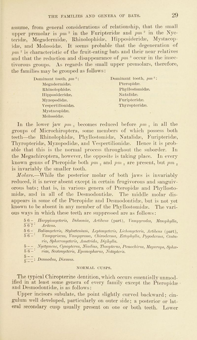 assume, from general considerations of relationship, that the small upper premolar is pm 3 in the Furipteridse and pm 2 in the Nyc- teridse, Megadermidse, Phinolophidse, Hipposideridse, Mystacop- idse, and Molossidse. It seems probable that the degeneration of pm - is characteristic of the fruit-eating bats and their near relatives and that the reduction and disappearance of pm 2 occur in the insec- tivorous groups. As regards the small upper premolars, therefore, the families may be grouped as follows: Dominant tooth, pm 2: Megaderm idae. Rhinolophidse. Hipposideridse. Myzopodidse. Vespertilionidse. Mystacopidse. Molossidse. Dominant tooth, pm3: Pteropidse. Phyllostomidse. Natal idee. Furipteridse. Thyropteridse. In the lower jaw pm 3 becomes reduced before pm 2 in all the groups of Microchiroptera, some members of which possess both teeth—the Rhinolophkhe, Phyllostomidse, Natalidse, Furipteridse, Thyropteridse, Myzopodidse, and Vespertilioniclse. Hence it is prob- able that this is the normal process throughout the suborder. In the Megachiroptera, however, the opposite is taking place. In every known genus of Pteropidse both pm 2 and pm 3 are present, but pm 2 is invariably the smaller tooth. Molars.—While the posterior molar of both jaws is invariably reduced, it is never absent except in certain frugivorous and sanguiv- orous bats; that is, in various genera of Pteropidse and Phyllosto- midse, and in all of the Desmodontidse. The middle molar dis- appears in some of the Pteropidse and Desmodontidse, but is not yet known to be absent in any member of the Phyllostomidse. The vari- ous ways in which these teeth are suppressed are as follows: 5 6 - Harpyiony cteris, Dobsonia, Artibeus (part), Vctmpyrodes, Mesophylla, 5 6 7 ‘ Ariteus. 5 6 - Balionycteris, Styloctenium, Leptonycteris, Li ebony cteris, Artibeus (part), 5 6-' Vampyriscus, Vampyressct, Chiroderma, Ectophylla, Pygoderma, Centu- rio, Sphsero7iycteris, Ametrida, Diphylla. 5 - - Nyctymene, Cynopterus, Niadius, Thoopterus, Ptenochirus, Megserops, Splue- 5 6-' rias, Scotonycteris, Epomophorus, Notopteris. Desmodus, Dieemus. NORMAL CUSPS. The typical Chiropterine dentition, which occurs essentially unmod- ified in at least some genera of every family except the Pteropidse and Desmodontidse, is as follows: Upper incisors subulate, the point slightly curved backward; cin- gulum well developed, particularly on outer side; a posterior or lat- eral secondary cusp usually present on one or both teeth. Lower