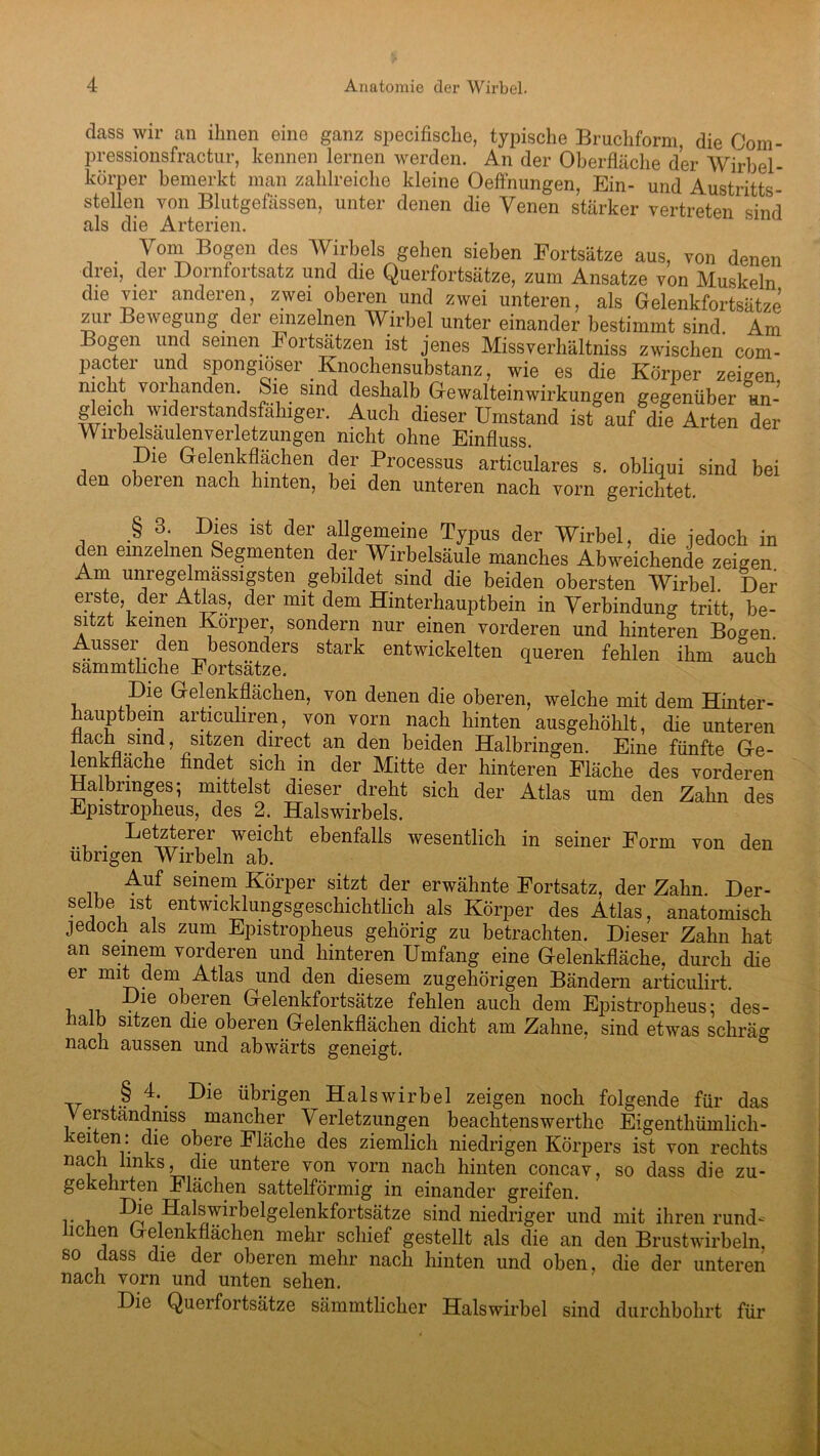 dass wir an ihnen eine ganz specifische, typische Bruchform, die Com- pressionsfractur, kennen lernen werden. An der Oberfläche der Wirbel - kürper bemerkt man zahlreiche kleine Oeffnungen, Ein- und Austritts- stellen von Blutgefässen, unter denen die Venen stärker vertreten sind als die Arterien. Vom Bogen des Wirbels gehen sieben Fortsätze aus, von denen drei, der Dorntortsatz und die Querfortsätze, zum Ansätze von Muskeln die vier anderen, zwei oberen und zwei unteren, als Gelenkfortsätze zur Bewegung der einzelnen Wirbel unter einander bestimmt sind. Am Bogen und seinen Fortsätzen ist jenes Missverhältnis zwischen com- pacter und spongiöser Knochensubstanz, wie es die Körper zeigen nicht vorhanden Sie sind deshalb G-ewalteinwirkungen gegenüber un- 1 widerstandsfähiger. Auch dieser Umstand ist auf die Arten der VVirbelsaulenVerletzungen nicht ohne Einfluss Die Gelenkflächen der Processus articulares s. obliqui sind bei den oberen nach hinten, bei den unteren nach vorn gerichtet. § 3 Dies ist der allgemeine Typus der Wirbel, die jedoch in den einzelnen Segmenten der Wirbelsäule manches Abweichende zeigen Am unregelmässigsten gebildet sind die beiden obersten Wirbel Der erste der Atlas, der mit dem Hinterhauptbein in Verbindung tritt, be- sitzt keinen Körper, sondern nur einen vorderen und hinteren Bogen. Aaisser den besonders stark entwickelten queren fehlen ihm auch sammtliche Fortsätze. Die Gelenkflächen, von denen die oberen, welche mit dem Hinter- hauptbein articuhren, von vorn nach hinten ausgehöhlt, die unteren nach smd, sitzen direct an den beiden Halbringen. Eine fünfte Ge- lenkflache findet sich in der Mitte der hinteren Fläche des vorderen Halbringes; mittelst dieser dreht sich der Atlas um den Zahn des Epistropheus, des 2. Halswirbels. ... . ^öfterer weicht ebenfalls wesentlich in seiner Form von den übrigen Wirbeln ab. Auf seinem Körper sitzt der erwähnte Fortsatz, der Zahn. Der- selbe ist entwicklungsgeschichtlich als Körper des Atlas, anatomisch jedoch als zum Epistropheus gehörig zu betrachten. Dieser Zahn hat an seinem vorderen und hinteren Umfang eine Gelenkfläche, durch die er mit clem Atlas und den diesem zugehörigen Bändern articulirt. Die oberen Gelenkfortsätze fehlen auch dem Epistropheus; des- halb sitzen die oberen Gelenkflächen dicht am Zahne, sind etwas schräg nach aussen und abwärts geneigt. ,, , § f’. ^ie Trigen Halswirbel zeigen noch folgende für das \ erständmss mancher Verletzungen beachtenswerthe Eigenthümlich- keiten : die obere Fläche des ziemlich niedrigen Körpers ist von rechts na1c\bnks , die untere von vorn nach hinten concav, so dass die zu- gekehrten Flächen sattelförmig in einander greifen, r i Halswirbelgelenkfortsätze sind niedriger und mit ihren rund- lichen Gelenkflächen mehr schief gestellt als die an den Brustwirbeln, so dass die der oberen mehr nach hinten und oben, die der unteren nach vorn und unten sehen. Die Querfortsätze sämmtlicher Halswirbel sind durchbohrt für