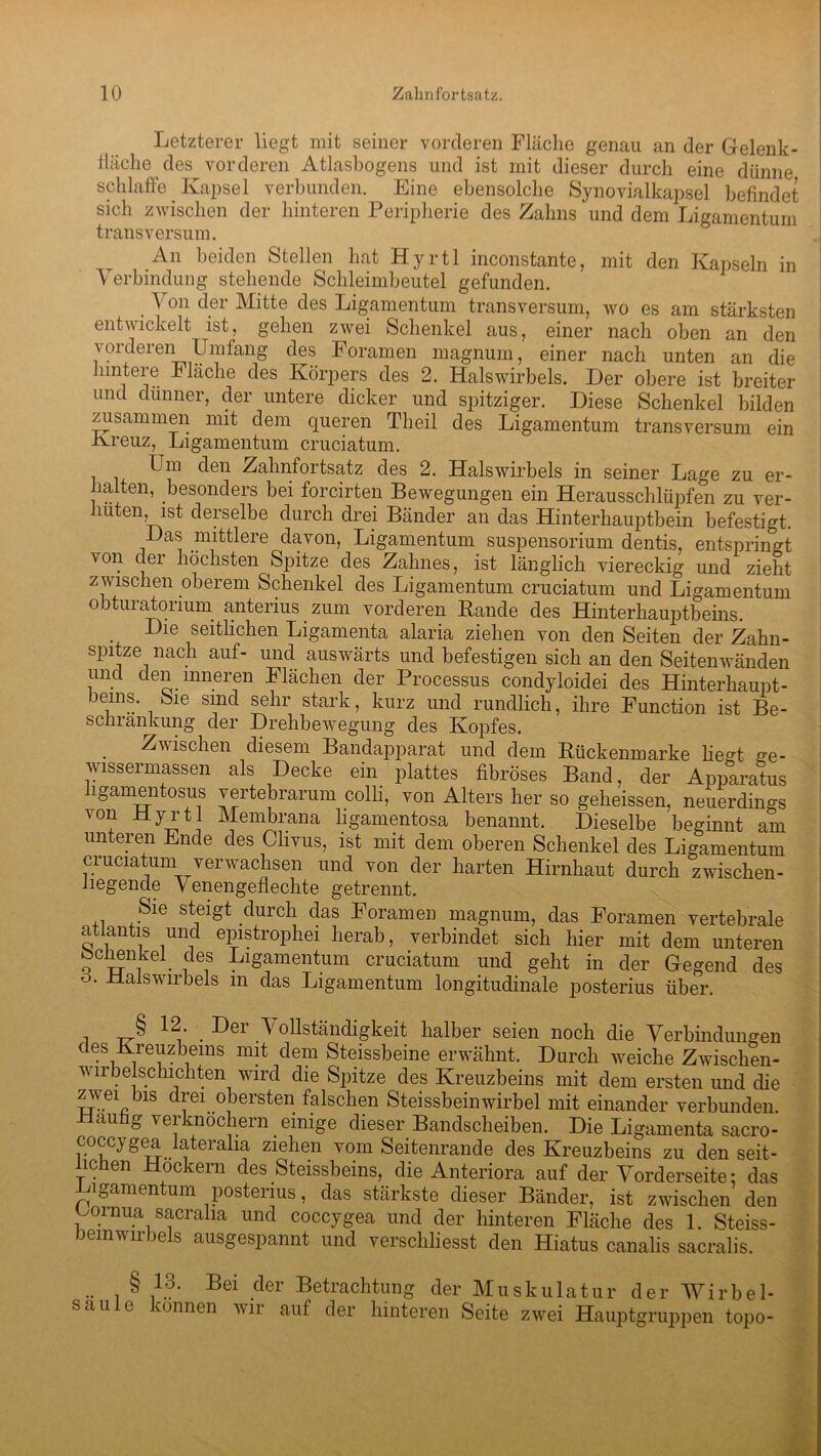 Letzterer liegt mit seiner vorderen Fläche genau an der Gelenk - fläche des vorderen Atlasbogens und ist mit dieser durch eine dünne schlaffe Kapsel verbunden. Eine ebensolche Synovialkapsel befindet sich zwischen der hinteren Peripherie des Zahns und dem Ligamentum transversum. An beiden Stellen hat Hyrtl inconstante, mit den Kapseln in Verbindung stehende Schleimbeutel gefunden. \ on der Mitte des Ligamentum transversum, wo es am stärksten entwickelt ist, gehen zwei Schenkel aus, einer nach oben an den vorderen Umfang des Eoramen magnum, einer nach unten an die hintere Fläche des Körpers des 2. Halswirbels. Der obere ist breiter und dünner, der untere dicker und spitziger. Diese Schenkel bilden zusammen mit dem queren Theil des Ligamentum transversum ein Kreuz, Ligamentum cruciatum. Um den Zahnfortsatz des 2. Halswirbels in seiner Lage zu er- halten, besonders bei forcirten Bewegungen ein Herausschlüpfen zu ver- hüten ist derselbe durch drei Bänder an das Hinterhauptbein befestigt. Das mittlere davon, Ligamentum Suspensorium dentis, entspringt von clei höchsten Spitze des Zahnes, ist länglich viereckig und zieht zwischen oberem Schenkel des Ligamentum cruciatum und Ligamentum obturatorium anterius zum vorderen Bande des Hinterhauptbeins. Die seitlichen Ligamenta alaria ziehen von den Seiten der Zahn- spitze nach auf- und auswärts und befestigen sich an den Seitenwänden und den inneren Flächen der Processus condyloidei des Hinterhaupt- beins. Sie sind sehr stark, kurz und rundlich, ihre Function ist Be- schränkung der Drehbewegung des Kopfes. Zwischen diesem Bandapparat und dem Rückenmarke lieM ge- wissermassen als Decke ein plattes fibröses Band, der Apparates hgamentosus vertebrarum colli, von Alters her so geheissen, neuerdings von Hyrtl Membrana ligamentosa benannt. Dieselbe beginnt am unteren Ende des Clivus, ist mit dem oberen Schenkel des Ligamentum cruciatum verwachsen und von der harten Hirnhaut durch zwischen- iiegende y enengeflechte getrennt. Sie steigt durch das Eoramen magnum, das Foramen vertebrale atlantis und epistrophei herab, verbindet sich hier mit dem unteren Schenkel, des Ligamentum cruciatum und geht in der Gegend des ö. Halswirbels m das Ligamentum longitudinale posterius über. , § 12‘ . Der .Vollständigkeit halber seien noch die Verbindungen des Kreuzbeins mit dem Steissbeine erwähnt. Durch weiche Zwischen- wirbeischichten wird die Spitze des Kreuzbeins mit dem ersten und die zwei bis drei obersten falschen Steissbeinwirbel mit einander verbunden. auhg verknöchern einige dieser Bandscheiben. Die Ligamenta sacro- coccygea lateralia ziehen vom Seitenrande des Kreuzbeins zu den seit- lichen Hockern des Steissbeins, die Anteriora auf der Vorderseite: das ibamen um posteiius, das stärkste dieser Bänder, ist zwischen den Lomua sacralia und coccygea und der hinteren Fläche des 1. Steiss- bemWirbels ausgespannt und verschliesst den Hiatus canalis sacralis. § 13. Bei der Betrachtung der Muskulatur der Wirbel- säule können wir auf der hinteren Seite zwei Hauptgruppen topo-