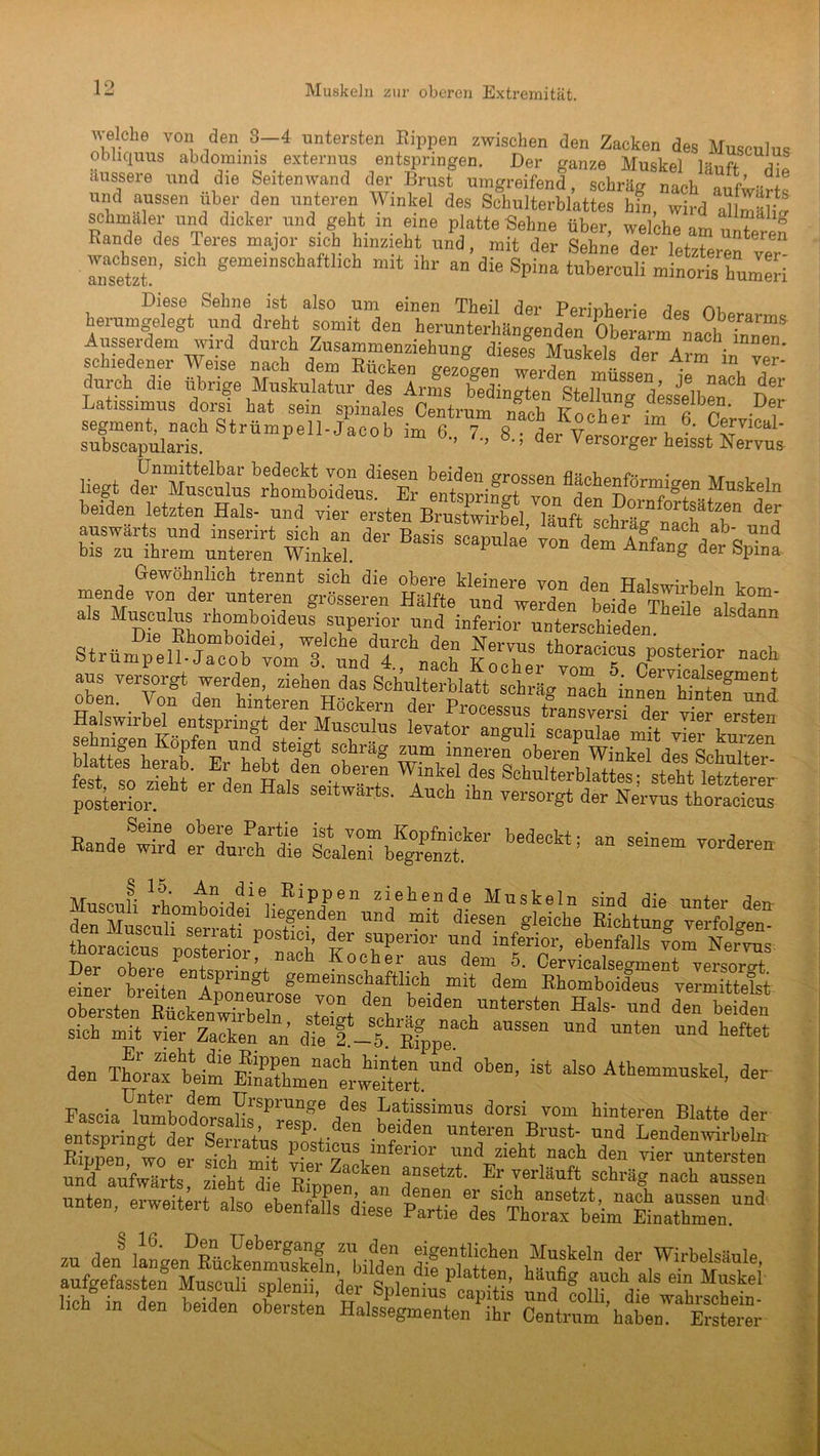 Muskeln zur oberen Extremität. welche von den 3-4 untersten Rippen zwischen den Zacken des Musculus obliquus abdömims externus entspringen. Der ganze Muskel läuft d?! äussere und die Seiten wand der Brust umgreifend schräg nach «mV und aussen über den unteren Winkel des Schulterblattes bfn, wird al m&He schmaler und dicker und geht m eine platte Sehne über, welche am unteren Rande des Teres major sich hinzieht und, mit der Sehne der letzt«™? rsetlt!’’ S1Ch »emeinschaftlich mit ihr “ die Spina tuberculi minoris hnmeri Diese Sehne ist also um einen Theil der PerinWi« d««. nu herumgelegt und dreht somit den herunterhängenden Oberarm nach TnnmV Ausserdem wird durch Zusammenziehung dieses Muskel« rW a? • schiedener Weise nach dem Rücken gezogen werde? ® d “ Ver' durch die übrige Muskulatur des Arms bedingten Stel? Je nach der Latissimus dorsi hat sein spinales^C?trum narh In b g dessfhe*' Der segment, nach Strümpell-jL?b im 6 7 8 d K£oher im, 6* Ce™al- subscapularis. •’ 8‘; der Versorger heisst Nervus lies« beiden letzten Hals- und vier auswärts und insenrt sich an der Basis scann Ina a ?g nach ab- und bis zu ihrem unteren Winkel. P T0D dm Anfan« der SPini> Gewöhnlich trennt sich die obere kleiner« d~ tj t ■ , , rnende von der unteren grösseren als Musculus rhomboideus superior und inferior unterschieden Strüm^elfjTcofvo’ml imddrC^fceh IlT th~>rterior nach aus versorgt werden ziehen das Schulterblatt schrägTch' inn^ÄZd wate^Si tnsv,ersi dr blatte? h Tv°1pfe^, ll“d schräg zum inneren oberen' Winkel dir&huHei Rande^d S7uÄ ^lllnf bfgTenzf “ “ ~ * ^mÄral°?OTiü?os®e^dr “i4 di^UgM*” föchtMg vm-folgen“ er ob eie entspringt gemeinschaftlich mit dem Rhomboideus vermittelst- d“b beide\“‘-‘» Ä deÜ beiden sich mit vier Zacken an die'1 -5 ßfppe aUSS6n Und Unten Und heftet den llorK beime^PatTemÄ.'lnd 0be”’ als0 Athemmuskel, der FasciaUlVmLdo?«alifPrUngG /GS Vatissimus dorsi vom hinteren Blatte der entsnrino-t der Sen V iesp‘ .den .beiden unteren Brust- und Lendenwirbeln SS? SS wis *Ätes.itÄÄ=.1 2hgffM1en i'T lplenii' 1 Splenius Lpitdt ll folll mW i in den beiden obersten Halssegmenten ihr Centrum ’haben. Erstem-