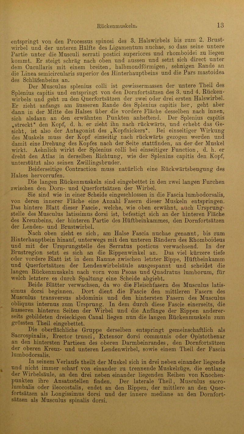 entspringt von den Processus spinosi des 3. Halswirbels bis zum 2. Brust- wirbel und der unteren Hälfte des Ligamentum nuchae, so dass, seine untere Partie unter die Musculi serrati postici superiores und rhomboidei zu liegen kommt. Er steigt schräg nach oben und aussen und setzt sich direct unter dem Cucullaris mit einem breiten, halbmondförmigen, sehnigen Rande an die Linea semicircularis superior des Hinterhauptbeins und die Pars mastoidea des Schläfenbeins an. Der Musculus splenius colli ist gewissermassen der untere Theil des Splenius capitis und entspringt von den Dornfortsätzen des 3. und 4. Rücken- wirbels und geht zu den Querfortsätzen der zwei oder drei ersten Halswirbel. Er zieht anfangs am äusseren Rande des Splenius capitis her, geht aber dann in der Mitte des Halses über die vordere Fläche desselben nach innen, sich alsdann an den erwähnten Punkten anheftend. Der Splenius capitis „streckt“ den Kopf, d. h. er zieht ihn nach rückwärts, und erhebt das Ge- sicht, ist also der Antagonist des „Kopfnickers“. Bei einseitiger Wirkung des Muskels muss der Kopf einseitig nach rückwärts gezogen werden und damit eine Drehung des Kopfes nach der Seite stattfinden, an der der Muskel wirkt. Aehnlich wirkt der Splenius colli bei einseitiger Function, d. h. er dreht den Atlas in derselben Richtung, wie der Splenius capitis den Kopf, unterstützt also seinen Zwillingsbruder. Beiderseitige Contraction muss natürlich eine Rückwärtsbeugung des Halses hervorrufen. Die langen Rückenmuskeln sind eingebettet in den zwei langen Furchen zwischen den Dorn- und Querfortsätzen der Wirbel. Sie sind wie in einer Scheide eingeschlossen in die Fascia lumbodorsalis, von deren innerer Fläche eine Anzahl Fasern dieser Muskeln entspringen. Das hintere Blatt dieser Fascie, welche, wie oben erwähnt, auch Ursprung- stelle des Musculus latissimus dorsi ist, befestigt sich an der hinteren Fläche des Kreuzbeins, der hinteren Partie des Hüftbeinkammes, den Dornfortsätzen der Lenden- und Brustwirbel. Nach oben zieht es sich, am Halse Fascia nuchae genannt, bis zum Hinterhauptbein hinauf, unterwegs mit den unteren Rändern des Rhomboideus und mit der Ursprungstelle des Serratus posticus verwachsend. In der Brustregion setzt es sich an die Rippenwinkel an. Das viel kürzere tiefe oder vordere Blatt ist in dem Raume zwischen letzter Rippe, Hüftbeinkamm und Querfortsätzen der Lendenwirbelsäule ausgespannt und scheidet die langen Rückenmuskeln nach vorn vom Psoas und Quadratus lumborum, für welch letztere es durch Spaltung eine Scheide abgiebt. Beide Blätter verwachsen, da wo die Fleischfasern des Musculus latis- simus dorsi beginnen. Dort dient die Fascie den mittleren Fasern des Musculus transversus abdominis und den hintersten Fasern des Musculus obliquus internus zum Ursprung. In dem durch diese Fascie einerseits, die äusseren hinteren Seiten der Wirbel und die Anfänge der Rippen anderer- seits gebildeten dreieckigen Canal liegen nun die langen Rückenmuskeln zum grössten Theil eingebettet. Die oberflächliche Gruppe derselben entspringt gemeinschaftlich als Sacrospinalis, Erector trunci, Extensor dorsi communis oder Opistothenar an den hintersten Partieen des oberen Darmbeinrandes, den Dornfortsätzen der oberen Kreuz- und unteren Lendenwirbel, sowie einem Theil der Fascia lumbodorsalis. In seinem Verlaufe theilt der Muskel sich in drei neben einander liegende und nicht immer scharf von einander zu trennende Muskelzüge, die entlang der Wirbelsäule, an den drei neben einander liegenden Reihen von Knochen- punkten ihre Ansatzstellen finden. Der laterale Theil, Musculus sacro- lumbalis oder ileocostalis, endet an den Rippen, der mittlere an den Quer- fortsätzen als Longissimus dorsi und der innere mediane an den Dornfort- sätzen als Musculus spinalis dorsi.