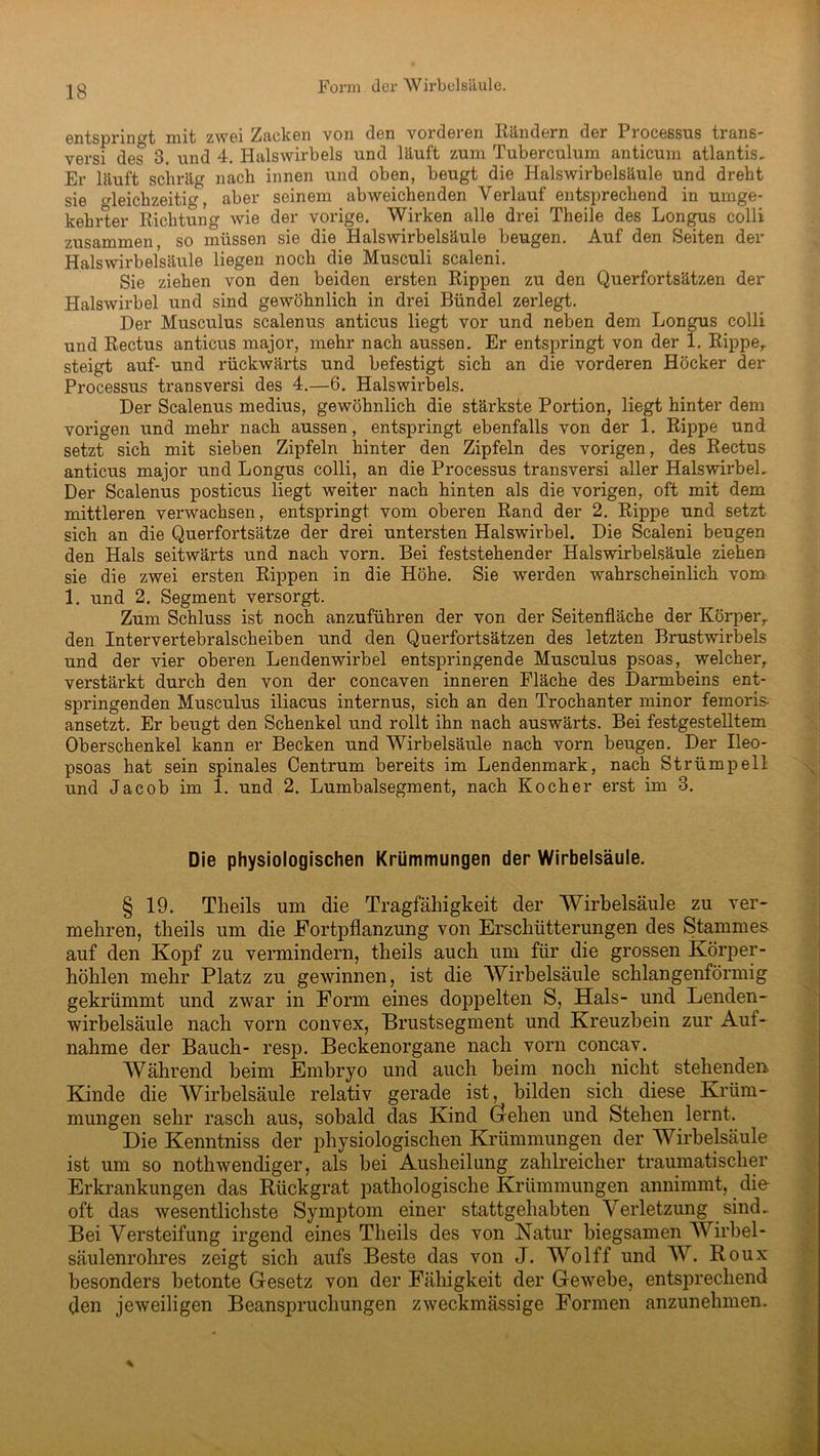Form der Wirbelsäule. entspringt mit zwei Zacken von den vorderen Rändern der Processus trans- versi des 3. und 4. Halswirbels und läuft zum Tuberculum anticum atlantis. Er läuft schräo- nach innen und oben, beugt die Halswirbelsäule und dreht sie gleichzeitig, aber seinem abweichenden Verlauf entsprechend in umge- kehrter Richtung wie der vorige. Wirken alle drei Theile des Longus colli zusammen, so müssen sie die Halswirbelsäule beugen. Auf den Seiten der Halswirbelsäule liegen noch die Musculi scaleni. Sie ziehen von den beiden ersten Rippen zu den Querfortsätzen der Halswirbel und sind gewöhnlich in drei Bündel zerlegt. Der Musculus scalenus anticus liegt vor und neben dem Longus colli und Rectus anticus major, mehr nach aussen. Er entspringt von der 1. Rippe, steigt auf- und rückwärts und befestigt sich an die vorderen Höcker der Processus transversi des 4.—6. Halswirbels. Der Scalenus medius, gewöhnlich die stärkste Portion, liegt hinter dem vorigen und mehr nach aussen, entspringt ebenfalls von der 1. Rippe und setzt sich mit sieben Zipfeln hinter den Zipfeln des vorigen, des Rectus anticus major und Longus colli, an die Processus transversi aller Halswirbel. Der Scalenus posticus liegt weiter nach hinten als die vorigen, oft mit dem mittleren verwachsen, entspringt vom oberen Rand der 2. Rippe und setzt sich an die Querfortsätze der drei untersten Halswii’bel. Die Scaleni beugen den Hals seitwärts und nach vorn. Bei feststehender Halswirbelsäule ziehen sie die zwei ersten Rippen in die Höhe. Sie werden wahrscheinlich vom 1. und 2. Segment versorgt. Zum Schluss ist noch anzuführen der von der Seitenfläche der Körper,, den Inter vertebralscheiben und den Querfortsätzen des letzten Brustwirbels und der vier oberen Lendenwirbel entspringende Musculus psoas, welcher, verstärkt durch den von der concaven inneren Fläche des Darmbeins ent- springenden Musculus iliacus internus, sich an den Trochanter minor femoris- ansetzt. Er beugt den Schenkel und rollt ihn nach auswärts. Bei festgestelltem Oberschenkel kann er Becken und Wirbelsäule nach vorn beugen. Der Ileo- psoas hat sein spinales Centrum bereits im Lendenmark, nach Strümpell und Jacob im 1. und 2. Lumbalsegment, nach Kocher erst im 3. Die physiologischen Krümmungen der Wirbelsäule. § 19. Theils um die Tragfähigkeit der Wirbelsäule zu ver- mehren, theils um die Fortpflanzung von Erschütterungen des Stammes auf den Kopf zu vermindern, theils auch um für die grossen Körper- höhlen mehr Platz zu gewinnen, ist die Wirbelsäule schlangenförmig gekrümmt und zwar in Form eines doppelten S, Hals- und Lenden- wirbelsäule nach vorn convex, Brustsegment und Kreuzbein zur Auf- nahme der Bauch- resp. Beckenorgane nach vorn concav. Während beim Embryo und auch beim noch nicht stehenden Kinde die Wirbelsäule relativ gerade ist, bilden sich diese Krüm- mungen sehr rasch aus, sobald das Kind Gehen und Stehen lernt. Die Kenntniss der physiologischen Krümmungen der Wirbelsäule ist um so nothwendiger, als bei Ausheilung zahlreicher traumatischer Erkrankungen das Rückgrat pathologische Krümmungen annimmt, die- oft das wesentlichste SymjDtom einer stattgehabten Verletzung sind. Bei Versteifung irgend eines Theils des von Natur biegsamen Wirbel- säulenrohres zeigt sich aufs Beste das von J. Wolff und W. Roux besonders betonte Gesetz von der Fähigkeit der Gewebe, entsprechend den jeweiligen Beanspruchungen zweckmässige Formen anzunehmen. *