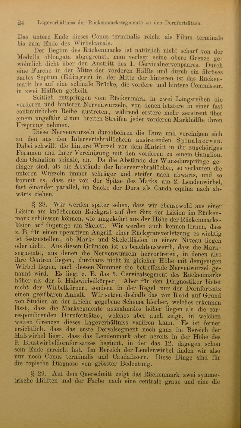 Das untere Ende dieses Conus terminalis reicht als Filum terminale bis zum Ende des Wirbelcanals. Der Beginn des Rückenmarks ist natürlich nicht scharf von der Medulla oblongata abgegrenzt, man verlegt seine obere Grenze ge- wöhnlich dicht über den Austritt des 1. Cervicalnervenpaares. Durch eine Furche in der Mitte der vorderen Hälfte und durch ein fibröses zartes Septum (Edinger) in der Mitte der hinteren ist das Rücken- mark bis auf eine schmale Brücke, die vordere und hintere Commissur, in zwei Hälften getheilt. Seitlich entspringen vom Rückenmark in zwei Längsreihen die vorderen und hinteren Nerven wurzeln, von denen letztere in einer fast continuirlichen Reihe austreten, während erstere mehr zerstreut über einem ungefähr 2 mm breiten Streifen jeder vorderen Markhälfte ihren Ursprung nehmen. Diese Nerven wurzeln durchbohren die Dura und vereinigen sich zu den aus den Intervertebrallöchern austretenden Spinalnerven. Dabei schwillt die hintere Wurzel vor dem Eintritt in ihr zugehöriges Foramen und ihrer Vereinigung mit den vorderen zu einem Ganglion, dem Ganglion spinale, an. Da die Abstände der Wurzelursprünge ge- ringer sind, als die Abstände der Intervertebrallöcher, so verlaufen die unteren Wurzeln immer schräger und steifer nach abwärts, und so kommt es, dass sie von der Spitze des Marks am 2. Lendenwirbel, fast einander parallel, im Sacke der Dura als Cauda equina nach ab- wärts ziehen. § 28. Wir werden später sehen, dass wir ebensowohl aus einer Läsion am knöchernen Rückgrat auf den Sitz der Läsion im Rücken- mark schliessen können, wie umgekehrt aus der Höhe der Rückenmarks- läsion auf diejenige am Skelett. Wir werden auch kennen lernen, dass z. B. für einen operativen Angriff einer Rückgratsverletzung es wichtig ist festzustellen, ob Mark- und Skelettläsion in einem Niveau liegen oder nicht. Aus diesen Gründen ist es beachtenswerth, dass die Mark- segmente, aus denen die Nervenwurzeln hervortreten, in denen also ihre Centren liegen, durchaus nicht in gleicher Höhe mit demjenigen Wirbel liegen, nach dessen Nummer die betreffende Nervenwurzel ge- nannt wird. Es liegt z. B. das 5. Cervicalsegment des Rückenmarks höher als der 5. Halswirbelkörper. Aber für den Diagnostiker bietet nicht der Wirbelkörper, sondern in der Regel nur der Dornfortsatz einen greifbaren Anhalt. Wir setzen deshalb das von Reid auf Grund von Studien an der Leiche gegebene Schema hierher, welches erkennen lässt, dass die Marksegmente ausnahmslos höher liegen als die cor- respondirenden Dornfortsätze, welches aber auch zeigt, in welchen weiten Grenzen dieses Lageverhältniss variiren kann. Es ist ferner ersichtlich, dass das erste Dorsalsegment noch ganz im Bereich der Halswirbel liegt, dass das Lendenmark aber bereits in der Höhe des 9. Brustwirbeldornfortsatzes beginnt, in der das 12. dagegen schon sein Ende erreicht hat. Im Bereich der Lendenwirbel finden wir also nur noch Conus terminalis und Caudafasern. Diese Dinge sind für die topische Diagnose von grösster Bedeutung. § 29. Auf dem Querschnitt zeigt das Rückenmark zwei symme- trische Hälften und der Farbe nach eine centrale graue und eine die