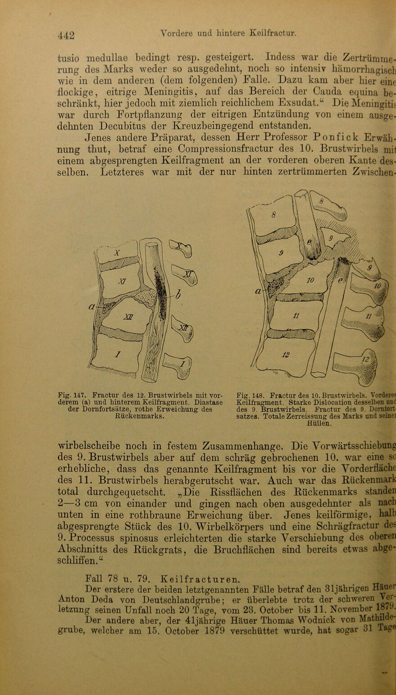 tusio medullae bedingt resp. gesteigert. Indess war die Zertrümme- rung des Marks weder so ausgedehnt, noch so intensiv hämorrhagisch wie in dem anderen (dem folgenden) Falle. Dazu kam aber hier eine flockige, eitrige Meningitis, auf das Bereich der Cauda equina be- schränkt, hier jedoch mit ziemlich reichlichem Exsudat.“ Die Meningitis war durch Fortpflanzung der eitrigen Entzündung von einem ausge- dehnten Decubitus der Kreuzbeingegend entstanden. Jenes andere Präparat, dessen Herr Professor Ponfick Erwäh- nung tkut, betraf eine Compressionsfractur des 10. Brustwirbels mit einem abgesprengten Keilfragment an der vorderen oberen Kante des- selben. Letzteres war mit der nur hinten zertrümmerten Zwischen- Fig. 147. Fractur des 12. Brustwirbels mit vor- derem (a) und hinterem Keilfragment. Diastase der Dornfortsätze, rotlie Erweichung des Rückenmarks. Fig. 148. Fractur des 10. Brustwirbels. Vorderes Keilfragment. Starke Dislocation desselben und des 9. Brustwirbels. Fractur des 9. Dornfort satzes. Totale Zerreissung des Marks und seinei HüUen. wirbelscheibe noch in festem Zusammenhänge. Die Vorwärtsschiebung des 9. Brustwirbels aber auf dem schräg gebrochenen 10. war eine sc erhebliche, dass das genannte Keilfragment bis vor die Vorderfläche des 11. Brustwirbels herabgerutscht war. Auch war das Rückenmark total durchgequetscht. „Die Rissflächen des Rückenmarks standen 2—3 cm von einander und gingen nach oben ausgedehnter als nach unten in eine rothbraune Erweichung über. Jenes keilförmige, halb abgesprengte Stück des 10. Wirbelkörpers und eine Schrägfractur des 9. Processus spinosus erleichterten die starke Verschiebung des oberen Abschnitts des Rückgrats, die Bruchflächen sind bereits etwas abge- schliffen.“ Pall 78 u. 79. Keilfracturen. Der erstere der beiden letztgenannten Fälle betraf den 31jährigen Häue) Anton Deda von Deutschlandgrube; er überlebte trotz der schweren Ver- letzung seinen Unfall noch 20 Tage, vom 23. October bis 11. November l°y • Der andere aber, der 41jährige Häuer Thomas Wodnick von Mathilde- grube, welcher am 15. October 1879 verschüttet wurde, hat sogar 31 Tagej