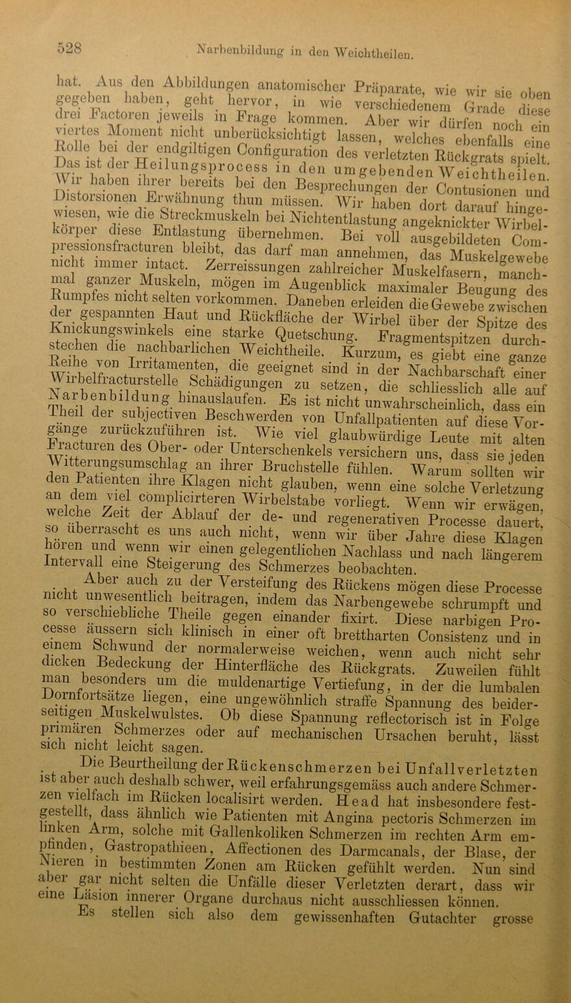 Narbenbildung in den Weichtheil en. hat Aus den Abbildungen anatomischer Präparate, wie wir sie oben gegeben haben, geht hervor, in wie verschiedenem Grade diese diei Lactoien jeweils m Frage kommen. Aber wir dürfen nmi • viertes Moment nicht unberücksichtigt lassen welches ebenfflk ' ““ Rolle bei der endgütigen Configuration des [iS ist (lei Heilungsprocess m den um gebenden Weichtheilen n haben ihrer bereits bei den Besprechungen der Contusionen und Distorsionen Erwähnung thun müssen. Wir haben dort darauf hinge wiesen, wie die Streckmuskeln bei Nichtentlastung angeknickter TWrbel koiper diese Entlastung übernehmen. Bei voll ause-phildpfmi r1 pressionsfracturen bleibt, das darf man annehmen,‘^fSklewet nicht immer intact Zerreissungen zahlreicher Muskelfasern manch- ma ganzer Muskeln, mögen im Augenblick maximaler Beugung des 7° d°Te?fl.Dnne^en erleiden die Gewebe zwischen der gespannten Haut und Blickflache der Wirbel über der Spitze des mckungswinkels eine starke Quetschung. Fragmentspitzen durch stechen die nachbarlichen Weichtheile. Kurzüm^^ WhL]fr«cfIrrfr 16 geeignet sind in der Nachbarschaft dner Wiibeifiacturstelie Schädigungen zu setzen, die schliesslich alle auf aibenbildung hinauslaufen. Es ist nicht unwahrscheinlich, dass ein Theil der subjektiven Beschwerden von Unfallpatienten auf diese Vor- gänge zuruckzuführen ist. Wie viel glaubwürdige Leute mit alten Fracturen des Ober- oder Unterschenkels versichern uns, dass sie jeden dl-f pit ngrmSfl 1 a ITr lhrer 1Bruchstelle fühlen. Warum sollten wir er Patienten ihre Blagen nicht glauben, wenn eine solche Verletzung an dem viol complicirteren Wirbelstabe vorliegt. Wenn wir erwägen we c e Zeit clei’ Ablauf der de- und regenerativen Processe dauert! so ubeirascht es uns auch nicht, wenn wir über Jahre diese Klagen hören und wenn wir einen gelegentlichen Nachlass und nach längerem Intervall eine Steigerung des Schmerzes beobachten. g Aber auch zu der Versteifung des Kückens mögen diese Processe nicht unwesentlichl beitragen, indem das Narbengewebe schrumpft und so veischiebhche Theile gegen einander fixirt. Diese narbigen Pro- cesse aussern sich klinisch m einer oft brettharten Consistenz und in i em Schwund der normalerweise weichen, wenn auch nicht sehr dicken Bedeckung der Hinterfläche des Bückgrats. Zuweilen fühlt HnrnfbeiSOnfderr Um die. muldenartige Vertiefung, in der die lumbalen DornfOltsatze liegen, eine ungewöhnlich straffe Spannung des beider- eitigen Muskelwulstes. Ob diese Spannung reflectorisch ist in Folge primären Schmerzes oder auf mechanischen Ursachen beruht, lässt sich nicht leicht sagen. Die Beurteilung der Bückenschmerzen bei Unfallverletzten is a ei auch deshalb schwer, weil erfahrungsgemäss auch andere Schmer- zen vieltach im Bücken localisirt werden. Head hat insbesondere fest- ges eilt dass ähnlich wie Patienten mit Angina pectoris Schmerzen im m ven Aim, solche mit Gallenkoliken Schmerzen im rechten Arm em- p nden, Gastropathieen, Affectionen des Darmcanals, der Blase, der iNieren in bestimmten Zonen am Bücken gefühlt werden. Nun'sind a er gar nicht selten die Unfälle dieser Verletzten derart, dass wir eine Pasion innerer Organe durchaus nicht ausschliessen können. Es stellen sich also dem gewissenhaften Gutachter grosse