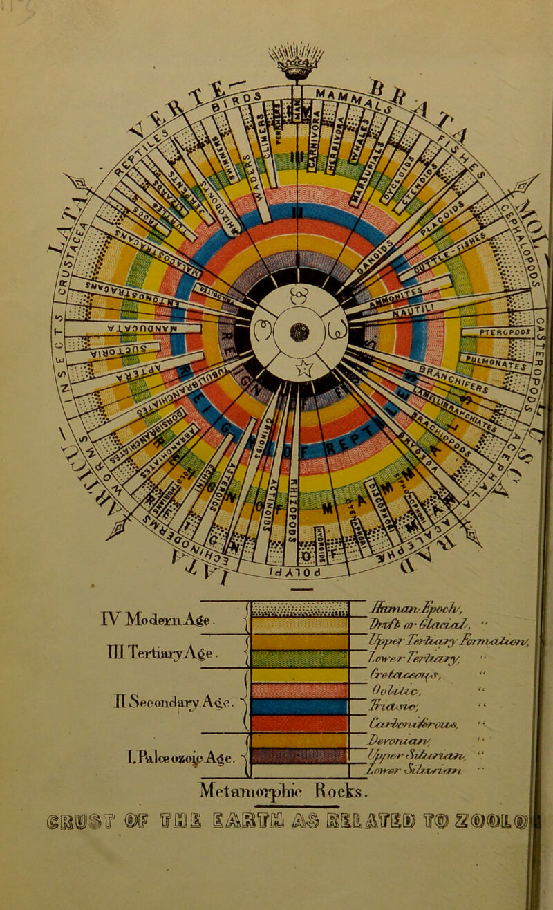 Metamorpbie R o cks. (IMS? m nr sis IV Modem Age III TeiliarvA^e II Secondary Age I.Palceozoy?Age. flnmca v Epoch/, Drift oi' Gficiaf'. “ Tertiary Fomvaticn/, Tertiary. “ Cretceceeya, “ Oolitic, “ Jricusie', ‘ ‘ Car2>eri*£rows. ' ‘ Devonian/ ' ‘ fitiirui.fi,. “