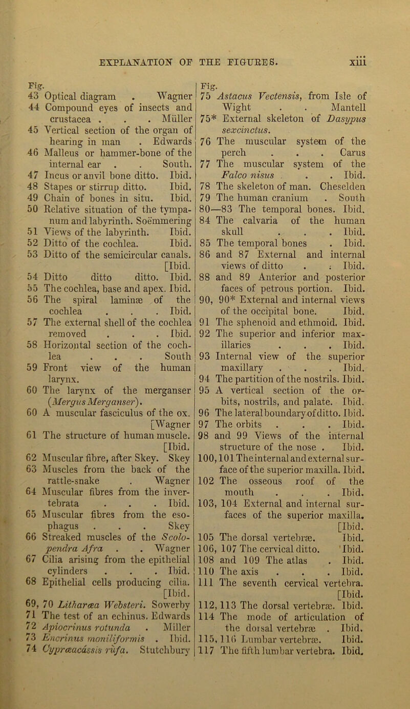 Fig. 43 Optical diagram . Wagner 44 Compound eyes of insects and Crustacea . . . Muller 45 Vertical section of the organ of hearing in man . Edwards 46 Malleus or hammer-hone of the internal ear . . South. 47 Incus or anvil bone ditto. Ibid. 48 Stapes or stirrup ditto. Ibid. 49 Chain of bones in situ. Ibid. 50 Relative situation of the tympa- num and labyrinth. Soemmering 51 Views of the labyrinth. Ibid. 52 Ditto of the cochlea. Ibid. 53 Ditto of the semicircular canals. [Ibid. 54 Ditto ditto ditto. Ibid. 55 The cochlea, base and apex. Ibid. 56 The spiral laminae of the cochlea . . . Ibid. 57 Tire external shell of the cochlea removed . . . Ibid. 58 Horizontal section of the coch- lea ... South 59 Front view of the human larynx. 60 The larynx of the merganser (Meryus Merganser'). 60 A muscular fasciculus of the ox. [Wagner 61 The structure of human muscle. [Ibid. 62 Muscular fibre, after Skey. Skey 63 Muscles from the back of the rattle-snake . Wagner 64 Muscular fibres from the inver- tebrata . . . Ibid. 65 Muscular fibres from the eso- phagus . . . Skey 66 Streaked muscles of the Scolo- pendra A fra . . Wagner 67 Cilia arising from the epithelial cylinders . . . Ibid. 68 Epithelial cells producing cilia. [Ibid. 69, 70 Litharcea Websteri. Sowerby 71 The test of an echinus. Edwards 72 Apiocrinus rotunda . Miller 73 Encrinus moniliformis . Ibid. 74 Cyprceacassis rufa. Stutchbury Fig. 75 Astacus Vectensis, from Isle of Wight . . Mantell 75* External skeleton of Dasypus sexcinctus. 76 The muscular system of the perch . . . Carus 77 The muscular system of the Falco nisus . . Ibid. 78 The skeleton of man. Cheselden 79 The human cranium . South 80—83 The temporal bones. Ibid. 84 The calvaria of the human skull . . . Ibid. 85 The temporal bones . Ibid. 86 and 87 External and internal views of ditto . ; Ibid. 88 and 89 Anterior and posterior faces of petrous portion. Ibid. 90, 90* External and internal views of the occipital bone. Ibid. 91 The sphenoid and ethmoid. Ibid. 92 The superior and inferior raax- illaries . . . Ibid. 93 Internal view of the superior maxillary . ■ . Ibid. 94 The partition of the nostrils. Ibid. 95 A vertical section of the or- bits, nostrils, and palate. Ibid. 96 The lateralboundary of ditto. Ibid. 97 The orbits . . . Ibid. 98 and 99 Views of the internal structure of the nose . Ibid. 100,101 The internal and external sur- face of the superior maxilla. Ibid. 102 The osseous roof of the mouth . . . Ibid. 103, 104 External and internal sur- faces of the superior maxilla. [Ibid. 105 The dorsal vertebrae. Ibid. 106, 107 The cervical ditto. Ibid. 108 and 109 The atlas . Ibid. 110 The axis . . . Ibid. 111 The seventh cervical vertebra. [Ibid. 112,113 The dorsal vertebrae. Ibid. 114 The mode of articulation of the doisal vertebrae . Ibid. 115,116 Lumbar vertebrae. Ibid. 117 The fifth 1 um bar vertebra. Ibid.