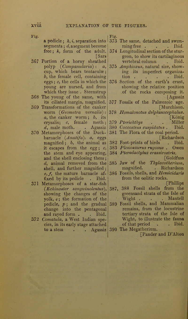 Fig. _ I a pedicle; h,i, separation into ' segments; cl, a segment become free; k, form of the adult. [Sars 367 Portion of a horny sheathed polyp (Campanularia) : a, cup, which bears tentaculac; b, the female cell, containing eggs; c, the cells in which the young are nursed, and from which they issue . Steenstrup 368 The young of the same, with its ciliated margin, magnified. 369 Transformations of the canker worm ( Geometra vernalis): a, the canker worm; b, its crysalis; c, female moth; d, male moth. . Agassiz 370 Metamorphoses of the Duck- barnacle (Anatifa); a, eggs magnified; b, the animal as it escapes from the egg; c, the stem and eye appearing, and the shell enclosing them ; i d, animal removed from the j shell, and further magnified ; i e, f, the mature barnacle af-1 fixed by its pedicle . Ibid. 371 Metamorphoses of a star-fish (Echinaster sanguinolentus), showing the changes of the yolk, e; the formation of the pedicle, p; and the gradual change into the pentagonal and rayed form . . Ibid. 372 Comatula, a West Indian spe- cies, in its early stage attached to a stem . . Agassiz Fig. 373 The same, detached and swim- ming free . . . Ibid. 374 Longitudinal section of the stur- geon, to show its cartilaginous vertebral column . Ibid. 375 Amphioxus, natural size, show- ing its imperfect organiza- tion .... Ibid. 376 Section of the earth’s crust, showing the relative position of the rocks composing it. [Agassiz 377 Fossils of the Palaeozoic age. [Murchison. 378 Ilomalonotus delphinocephalus. [Konig 379 Pterichthys . . Miller 380 Coccosteus cuspidatus . Ibid. 381 The Flora of the coal period. [Richardson 382 Foot-prints of birds . Ibid. 383 Plesiosaurus rugosus . Owen 384 Pterodactylus crassirostris. [Goldfuss 385 Jaw of the Thylacotherium, magnified. . Richardson 386 Fossils, shells, and Hemiciduris from the oolitic rocks. [Phillips 387, 388 Fossil shells from the greensand strata of the Isle of Wight . . . Mantel] 389 Fossii shells, and Mammalian remains, from the locustrine tertiary strata of the Isle of Wight, to illustrate the fauna of that period . . Ibid. 390 The Megatherium. [Pander and D’Alton