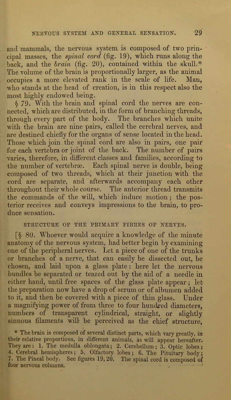 and mammals, the nervous system is composed of two prin- cipal masses, the spinal cord (fig. 19), which runs along the back, and the brain (fig. 20), contained within the skull.* The volume of the brain is proportionally larger, as the animal occupies a more elevated rank in the scale of life. Man, who stands at the head of creation, is in this respect also the most highly endowed being. § 79. With the brain and spinal cord the nerves are con- nected, which are distributed, in the form of branching threads, through every part of the body. The branches which unite with the brain are nine pairs, called the cerebral nerves, and are destined chiefly for the organs of sense located in the head. Those which join the spinal cord are also in pairs, one pair for each vertebra or joint of the back. The number of pairs varies, therefore, in different classes and families, according to the number of vertebrae. Each spinal nerve is double, being composed of two threads, which at then.’ junction with the cord are separate, and afterwards accompany each other throughout their whole course. The anterior thread transmits the commands of the will, which induce motion; the pos- terior receives and conveys impressions to the brain, to pro- duce sensation. STRUCTURE OE THE PRIMARY FIBRES OF NERVES. [§ 80. Whoever would acquire a knowledge of the minute anatomy of the nervous system, had better begin by examining one of the peripheral nerves. Let a piece of one of the trunks or branches of a nerve, that can easily be dissected out, be chosen, and laid upon a glass plate : here let the nervous bundles be separated or teazed out by the aid of a needle in either hand, until free spaces of the glass plate appear; let- the preparation now have a drop of serum or of albumen added to it, and then be covered with a piece of thin glass. Under a magnifying power of from three to four hundred diameters, numbers of transparent cylindrical, straight, or slightly sinuous filaments will- be perceived as the chief structure, * The brain is composed of several distinct parts, which vary greatly, in their relative proportions, in different animals, as will appear hereafter. They are: 1. The medulla oblongata; 2. Cerebellum; 3. Optic lobes; 4. Cerebral hemispheres; 5. Olfactory lobes ; 6. The Pituitary body; 7. The Pineal body. See figures 19,20. The spinal cord is composed of four nervous columns.