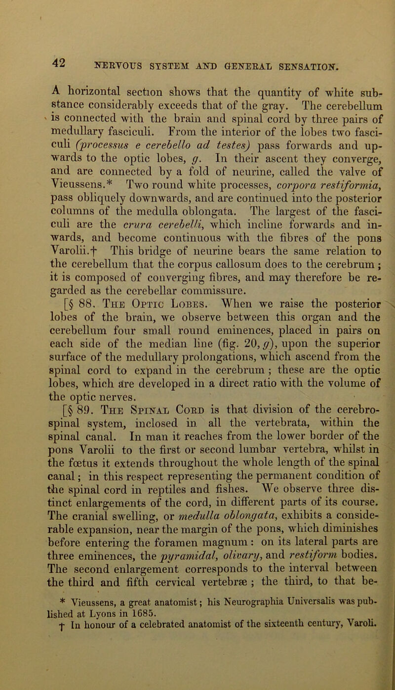 A horizontal section shows that the quantity of white sub- stance considerably exceeds that of the gray. The cerebellum ' is connected with the brain and spinal cord by three pairs of medullary fasciculi. From the interior of the lobes two fasci- culi (processus e cerebello ad testes) pass forwards and up- wards to the optic lobes, g. In their ascent they converge, and are connected by a fold of neurine, called the valve of Vieussens.* Two round white processes, corpora restiformia, pass obliquely downwards, and are continued into the posterior columns of the medulla oblongata. The largest of the fasci- culi are the crura cerebeUi, which incline forwards and in- wards, and become continuous with the fibres of the pons Yarolii.f This bridge of neurine bears the same relation to the cerebellum that the corpus callosum does to the cerebrum ; it is composed of converging fibres, and may therefore be re- garded as the cerebellar commissure. [§ 88, The Optic Lobes. When we raise the posterior lobes of the brain, we observe between this organ and the cerebellum four small round eminences, placed in pairs on each side of the median line (fig. 20, g), upon the superior surface of the medullary prolongations, which ascend from the spinal cord to expand in the cerebrum ; these are the optic lobes, which are developed in a direct ratio with the volume of the optic nerves. [§ 89. The Spinal Cord is that division of the cerebro- spinal system, inclosed in all the vertebrata, within the spinal canal. In man it reaches from the lower border of the pons Varolii to the first or second lumbar vertebra, whilst in the foetus it extends throughout the whole length of the spinal canal; in this respect representing the permanent condition of the spinal cord in reptiles and fishes. We observe three dis- tinct enlargements of the cord, in different parts of its course. The cranial swelling, or medulla oblongata, exhibits a conside- rable expansion, near the margin of the pons, which diminishes before entering the foramen magnum : on its lateral parts are three eminences, the pyramidal, olivary, and restiform bodies. The second enlargement corresponds to the interval between the third and fifth cervical vertebrae ; the third, to that be- * Vieussens, a great anatomist; his Neurographia Universalis was pub- lished at Lyons in 1685. •j- In honour of a celebrated anatomist of the sixteenth century, Varoli.